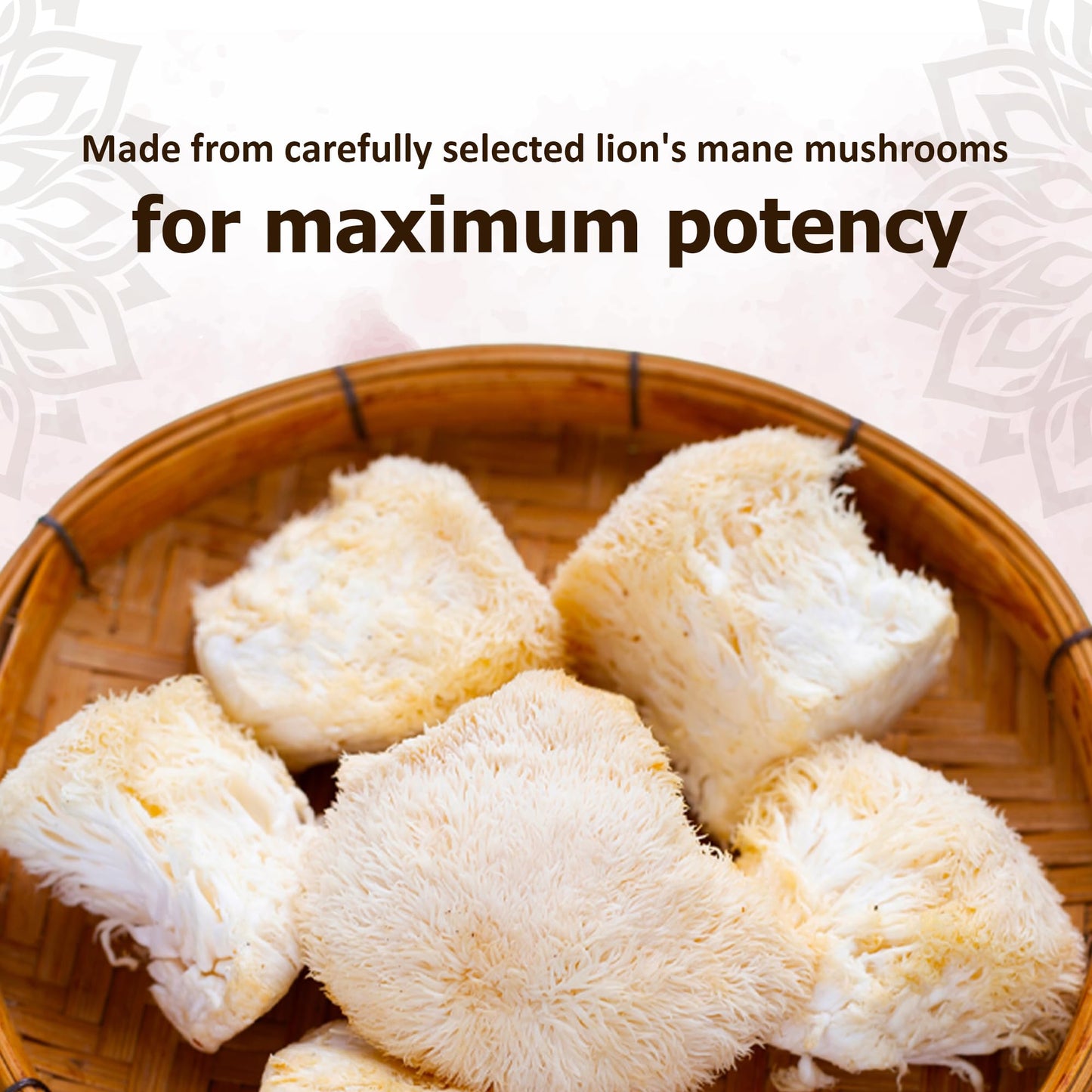 Reddy Naturals Lion’s Mane Mushroom Powder 4.02 Ounce