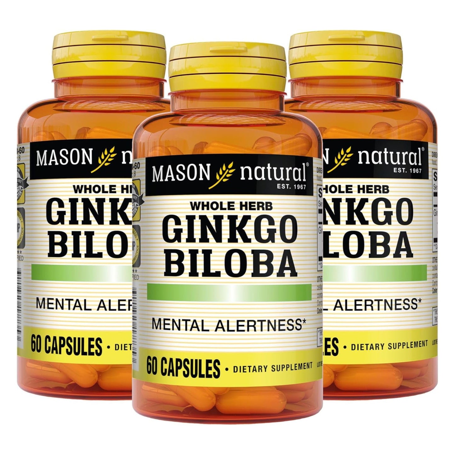 Mason Natural Ginkgo Biloba Capsule, 180 Capsules
