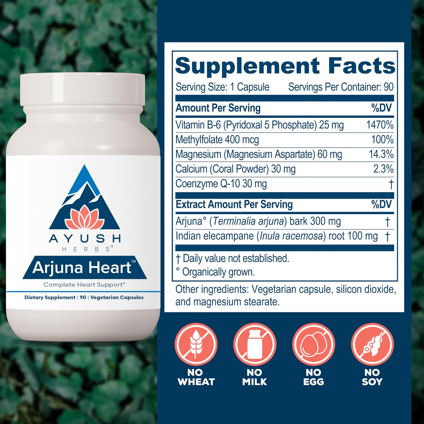 Ayush Herbs Arjuna Heart - Complete Heart-Support Supplement, Natural Arjuna, Magnesium & CoQ10 Formula for Women & Men Capsules, 90 Count