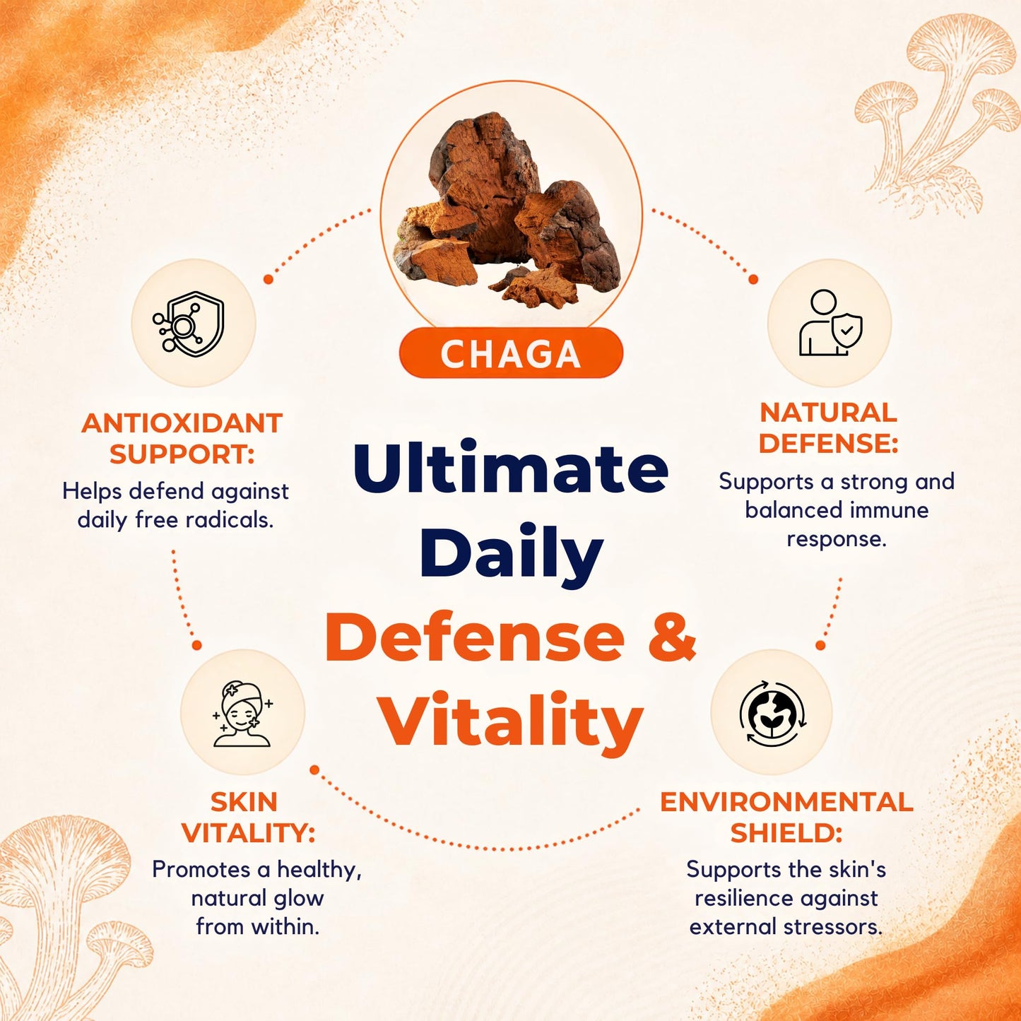 Malama Mushrooms Chaga Extract Powder, 3.5 oz