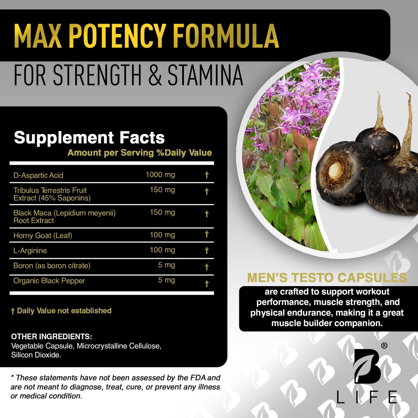 B Life Company Testosterone Booster Supplement for Men Capsules 240