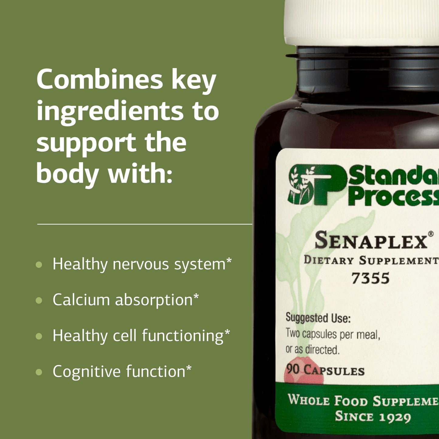 Standard Process Inc. Senaplex Nervous System Support with Niacin, Vitamin B12 & B6 - Supports Brain Health & Cellular Health - Antioxidant Activity - Non-Dairy Capsules, 90 Count