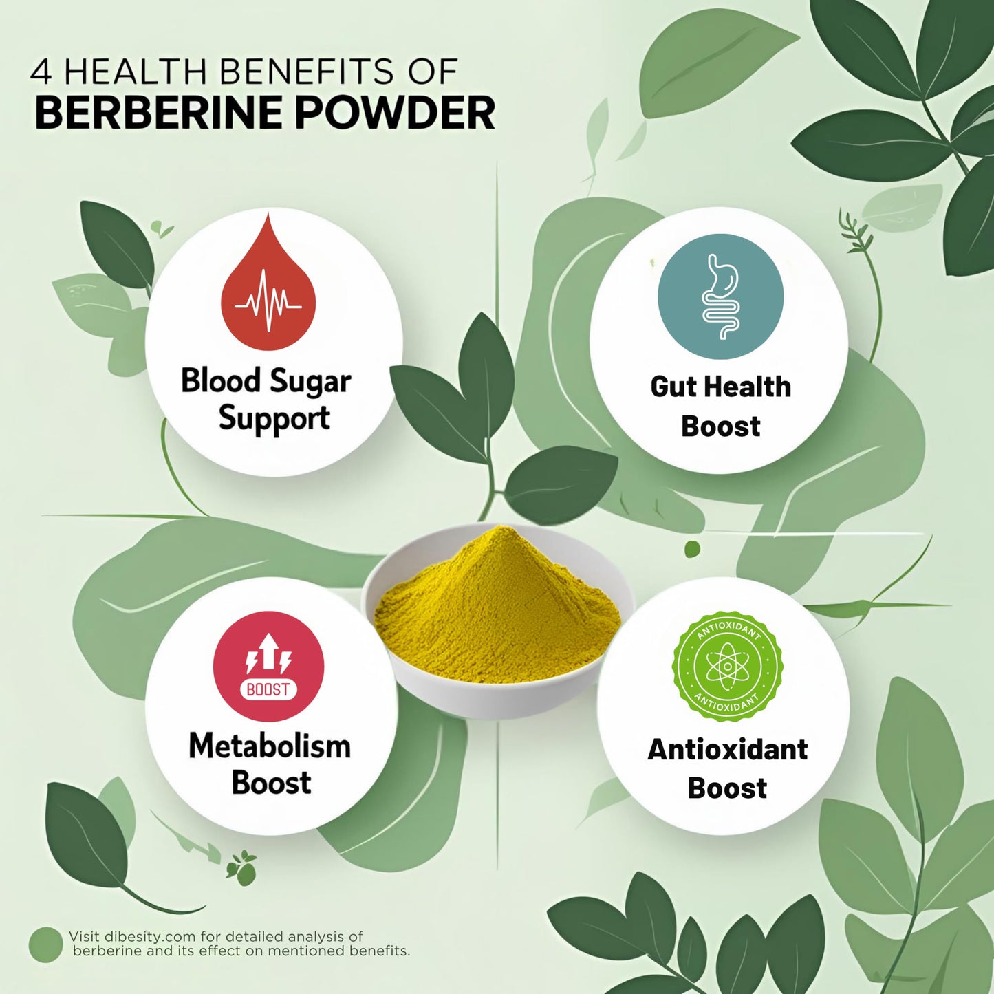 Dibesity Berberine Powder 3.5 Ounces
