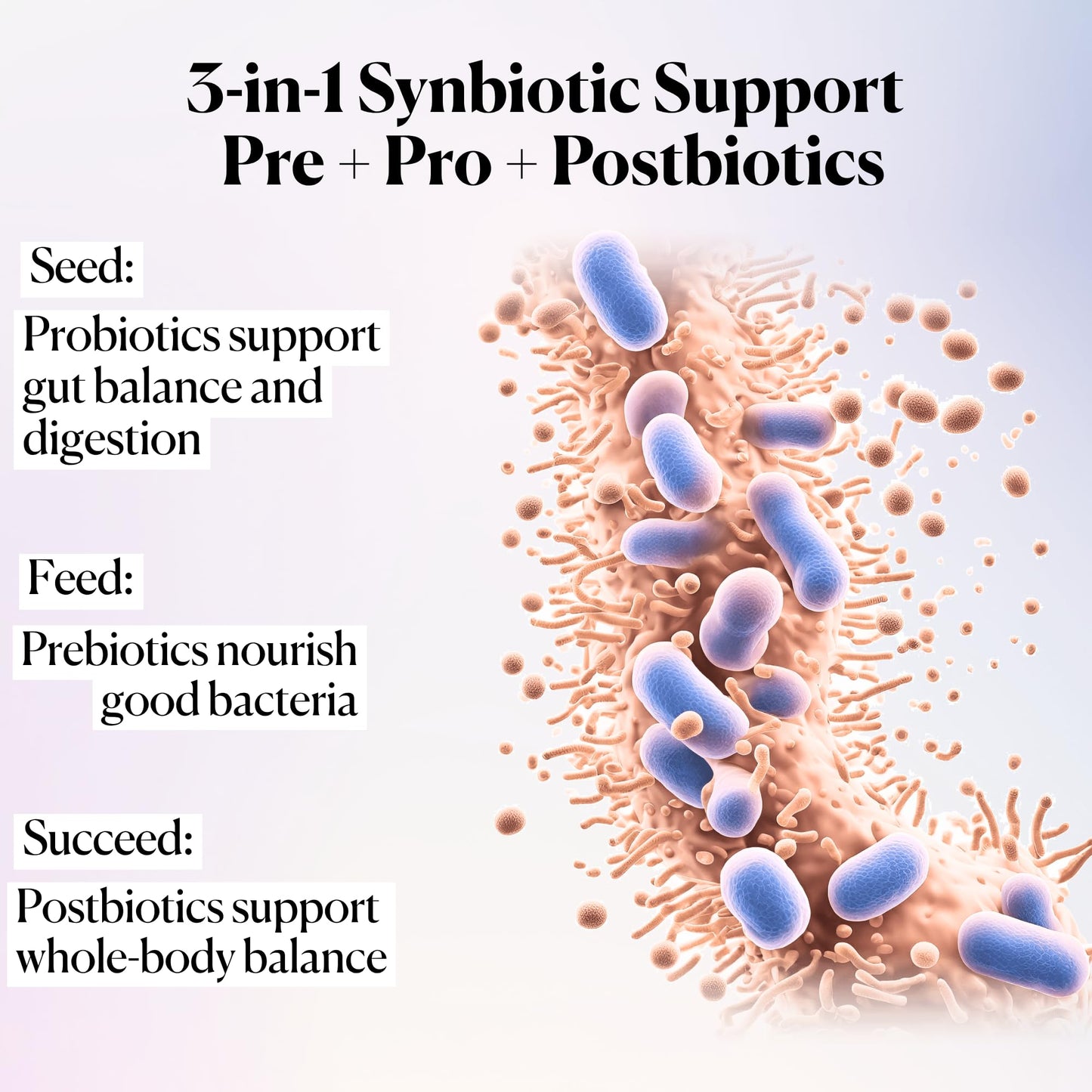Goodness Lover Synbiotic Complete - Prebiotics, Probiotics, and Postbiotics 60 Capsules