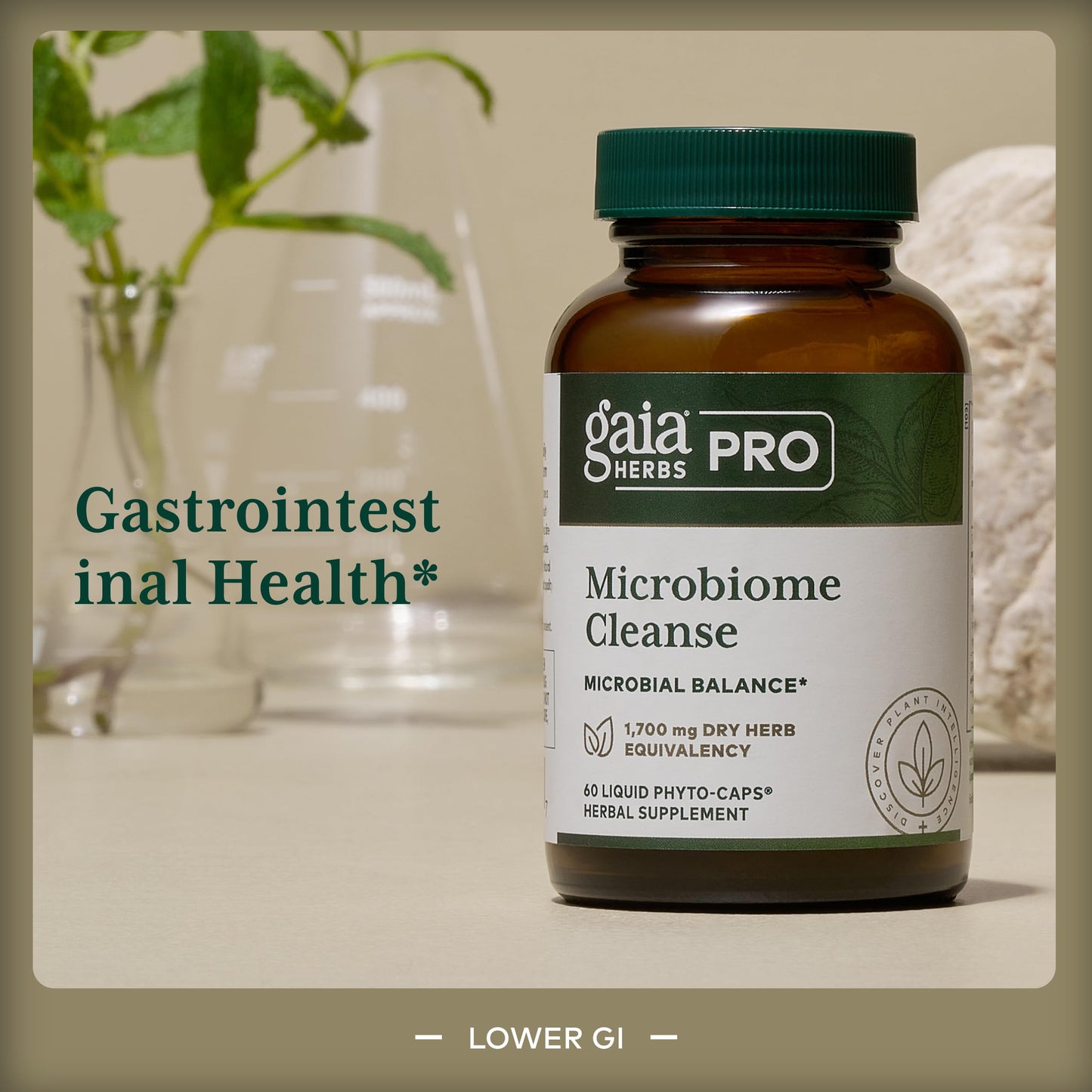 Gaia Herbs Pro Microbiome Cleanse Digestive Health Support Supplement Capsules 60 Count