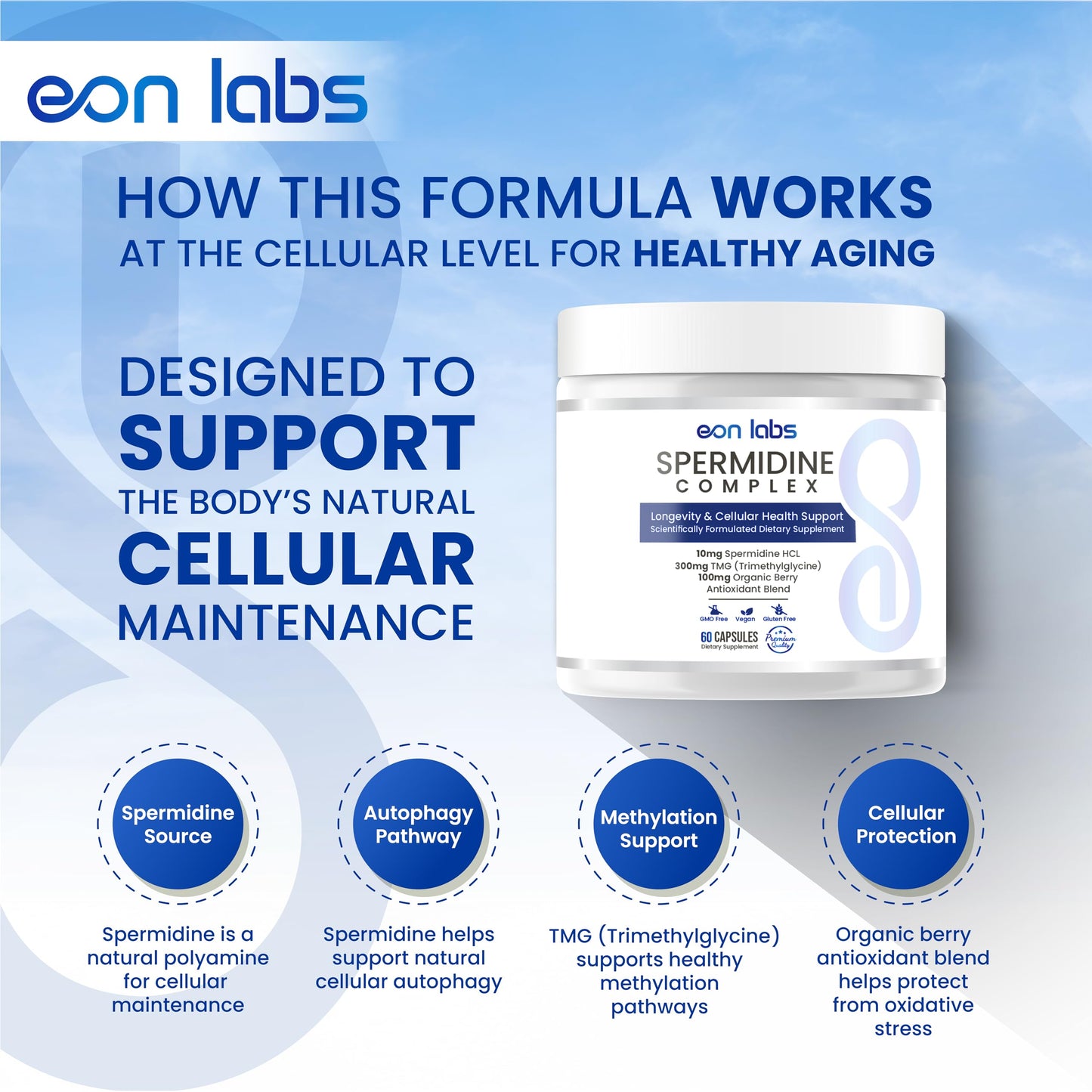 eon labs Spermidine Supplements for Men and Women 10 mg Spermidine HCl Complex with TMG & Organic Berry Antioxidants Cellular Health Support 60 Capsules