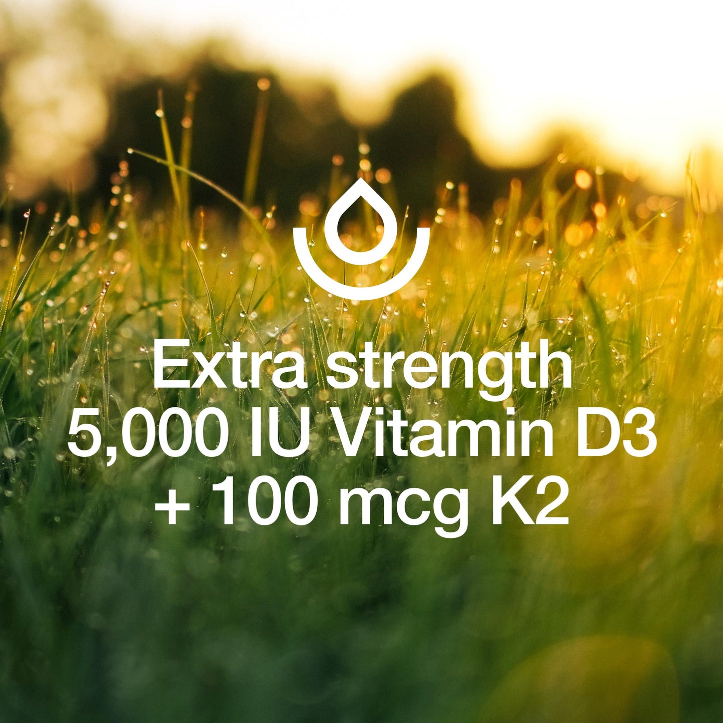 Fresh Nutrition Vegan Vitamin D3 + K2 Capsules 90 Count