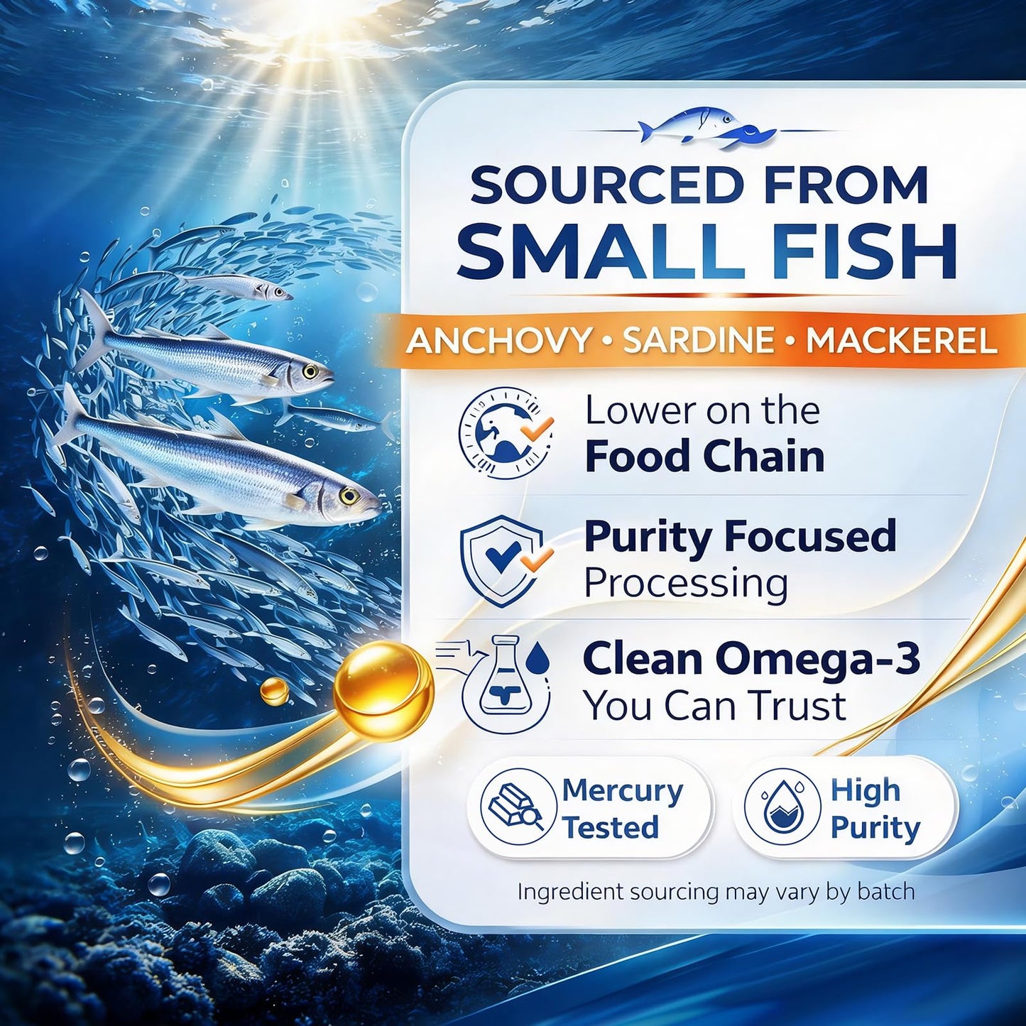 Flyleaf Omega 3 Fish Oil Supplement Softgel 60 Count