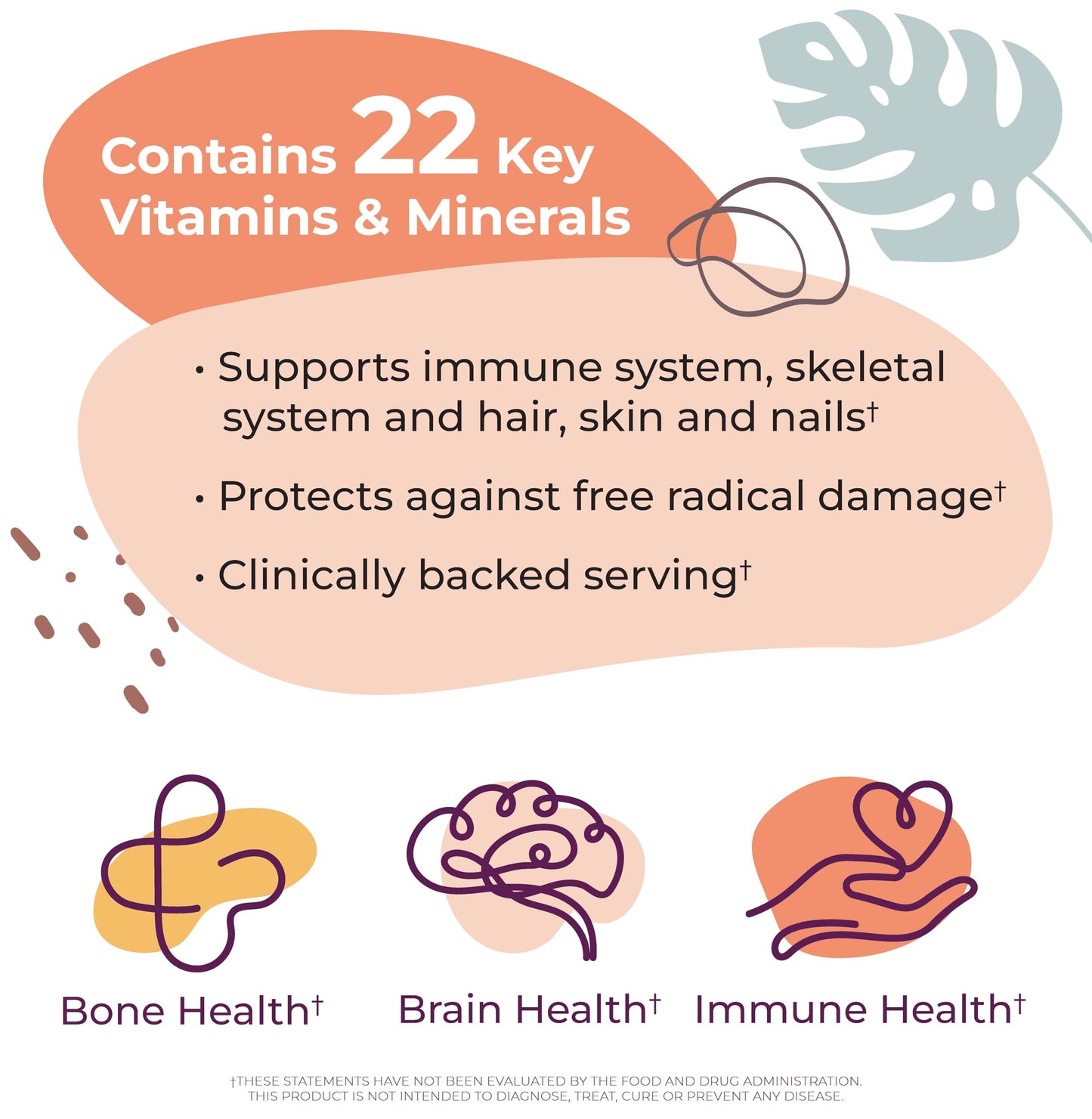 Body Kitchen Women’s Multivitamin with Optifolin+ & VitaCholine Capsule, 1 Count