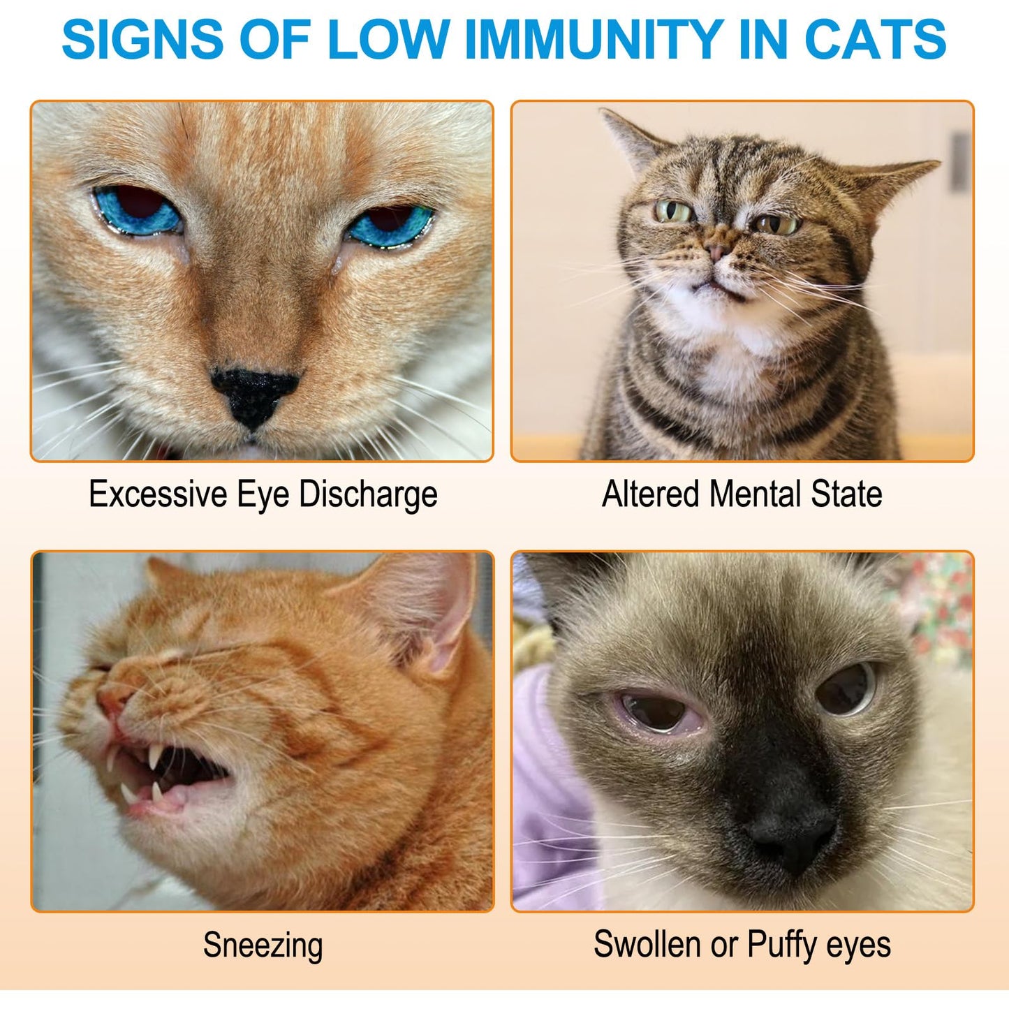 ALIVO L-Lysine for Cats Powder 120