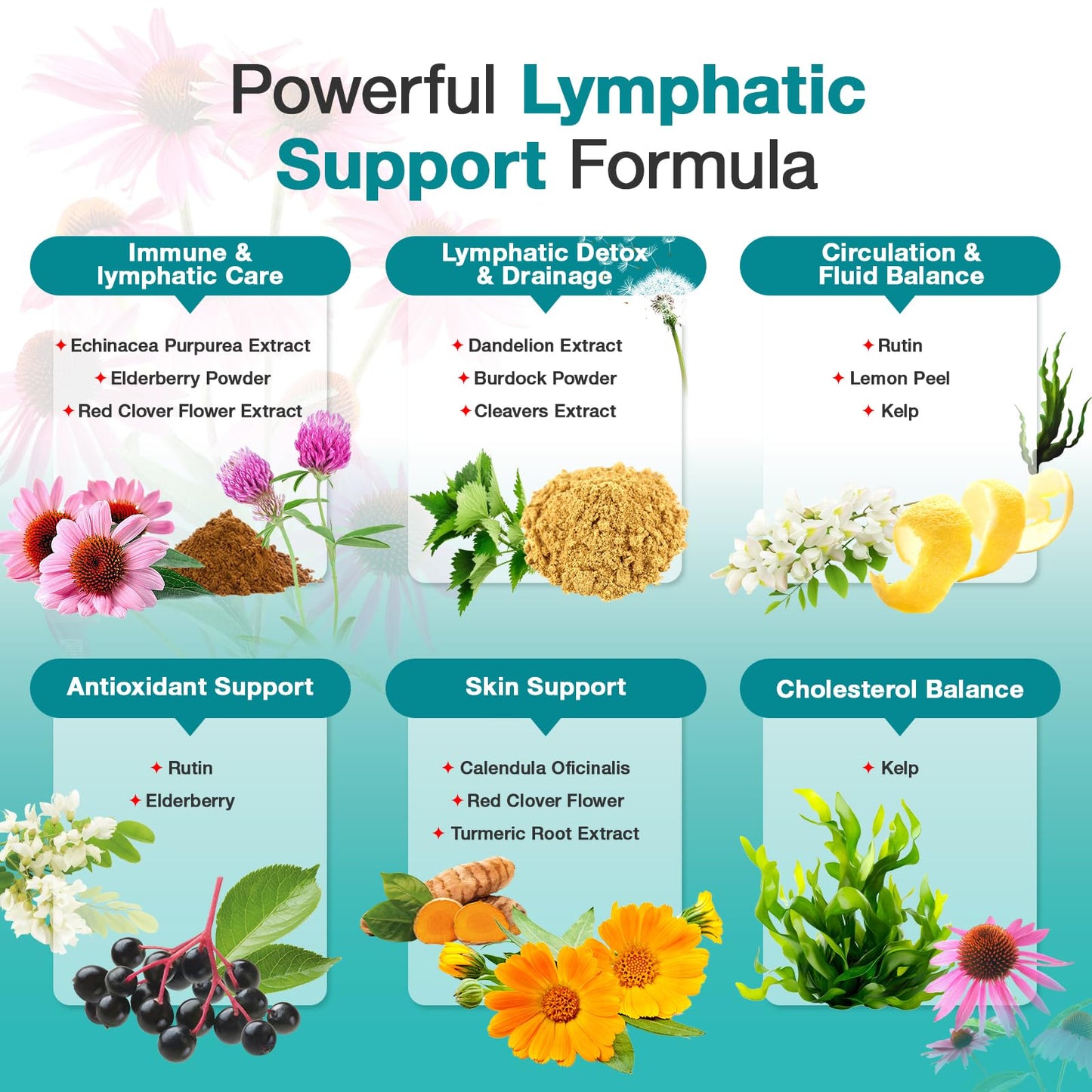 LUCKCHAN Lymphatic Drainage Supplements 91 Capsules