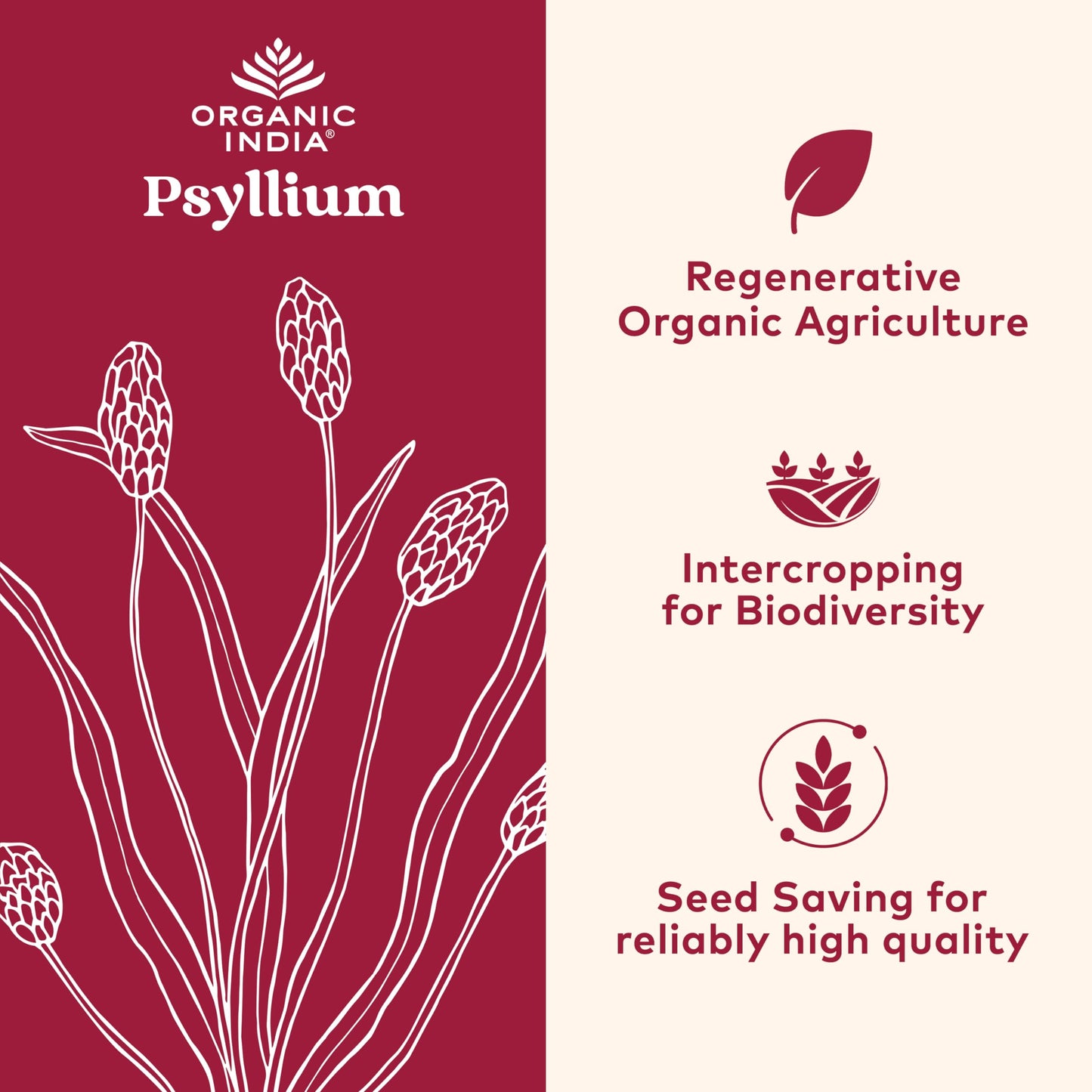 ORGANIC INDIA Whole Psyllium Husk Powder Organic - Psyllium Husk Fiber Supplement, Powder, 24