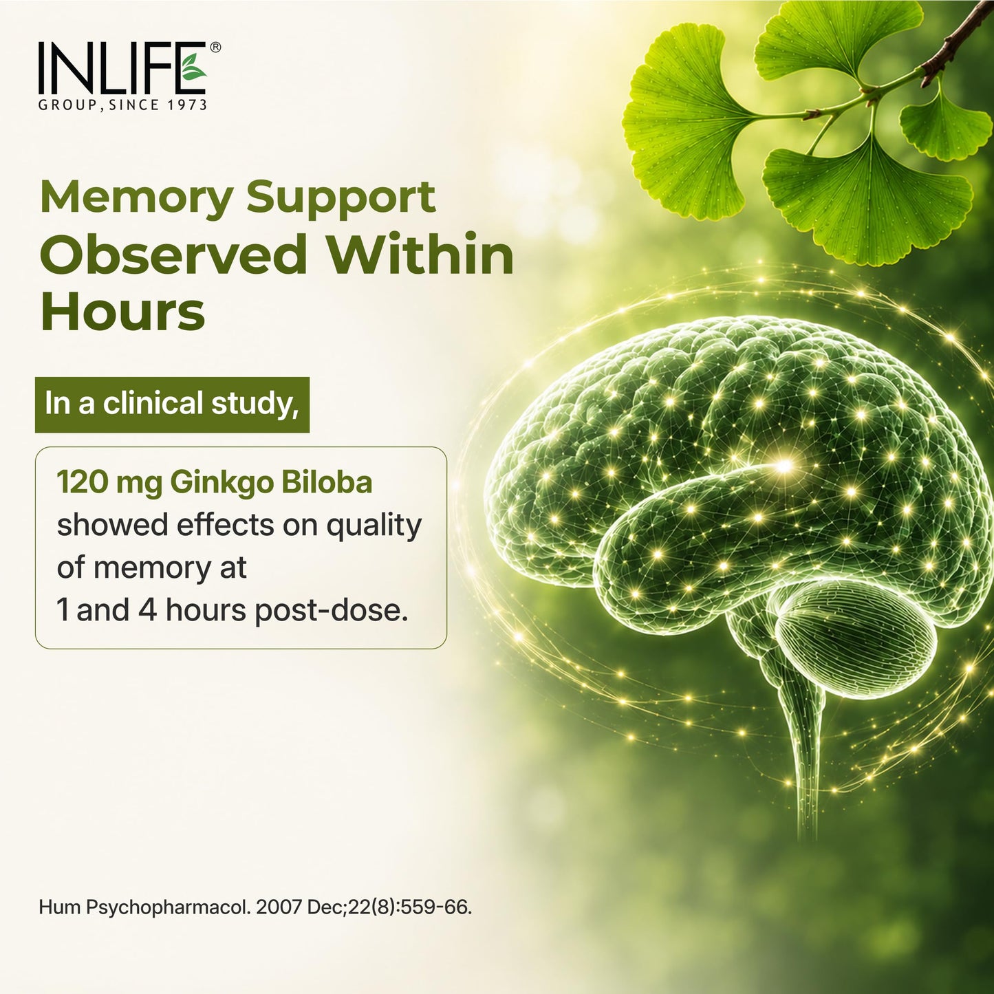 INLIFE Ginkgo Biloba Extract 120mg Capsules, 1 Count