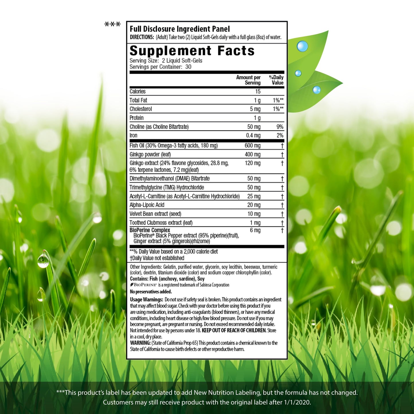 Irwin Naturals Ginkgo Smart Memory & Brain Support Softgels 120-Count