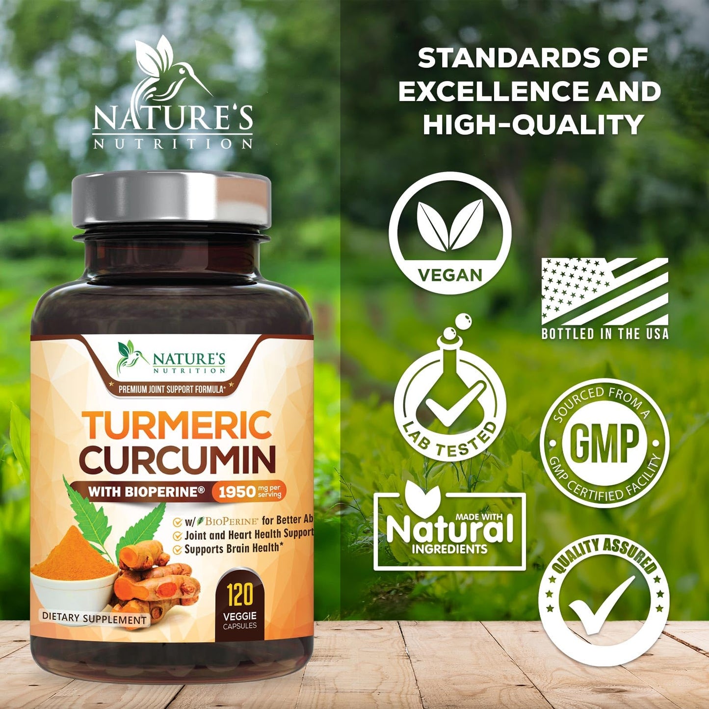 Nature's Nutrition Turmeric Curcumin Supplement Capsule, 120 Capsules