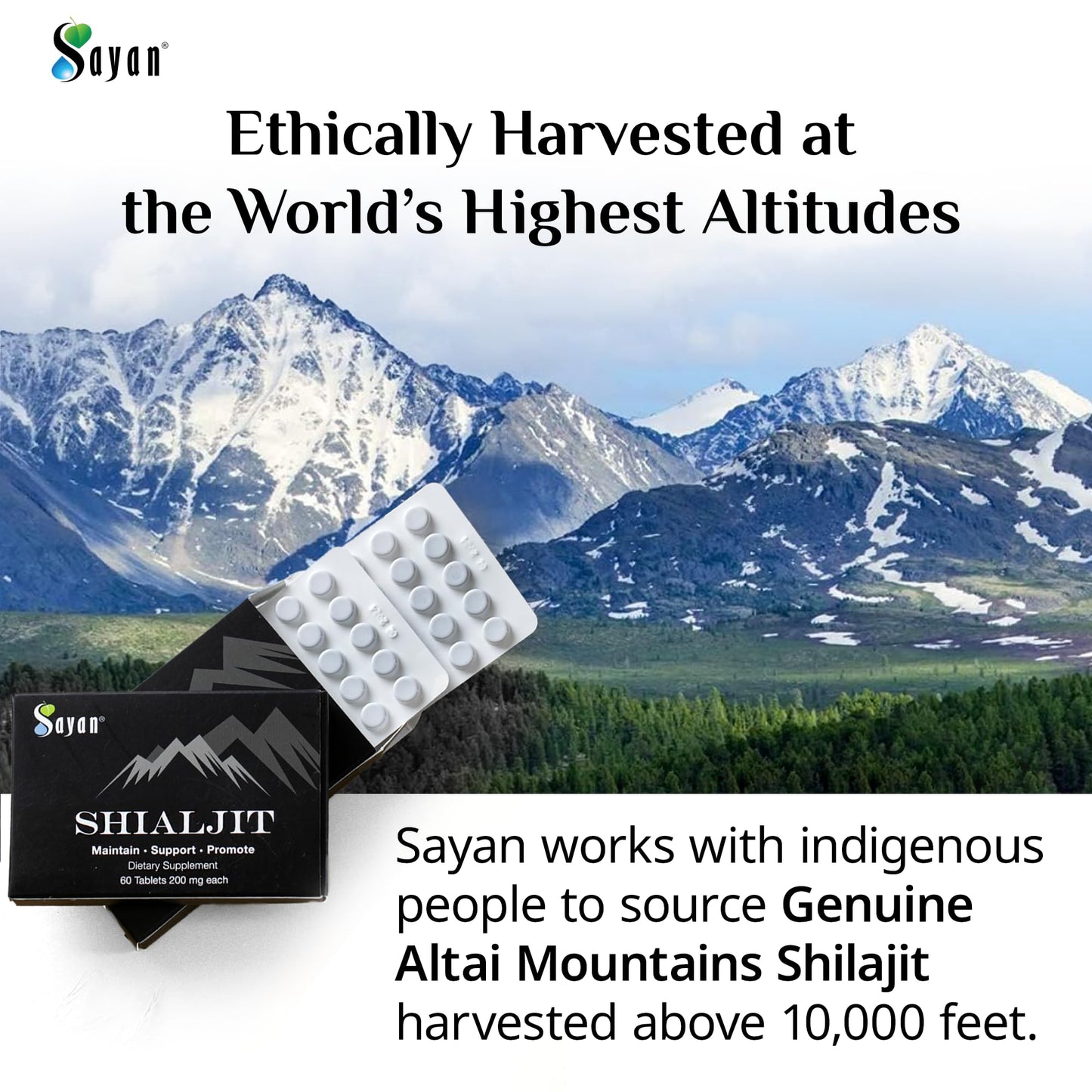 Sayan Shilajit Tablets 100% Pure, 24,000mg High-Potency, 85+ Trace Minerals, Lab-Tested for Purity, 120 Tablets