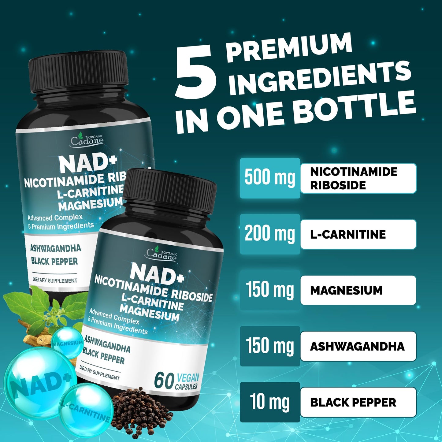 Organic Cadane Nicotinamide Riboside with L-Carnitine, Magnesium Glycinate, Ashwagandha, 60 Capsules