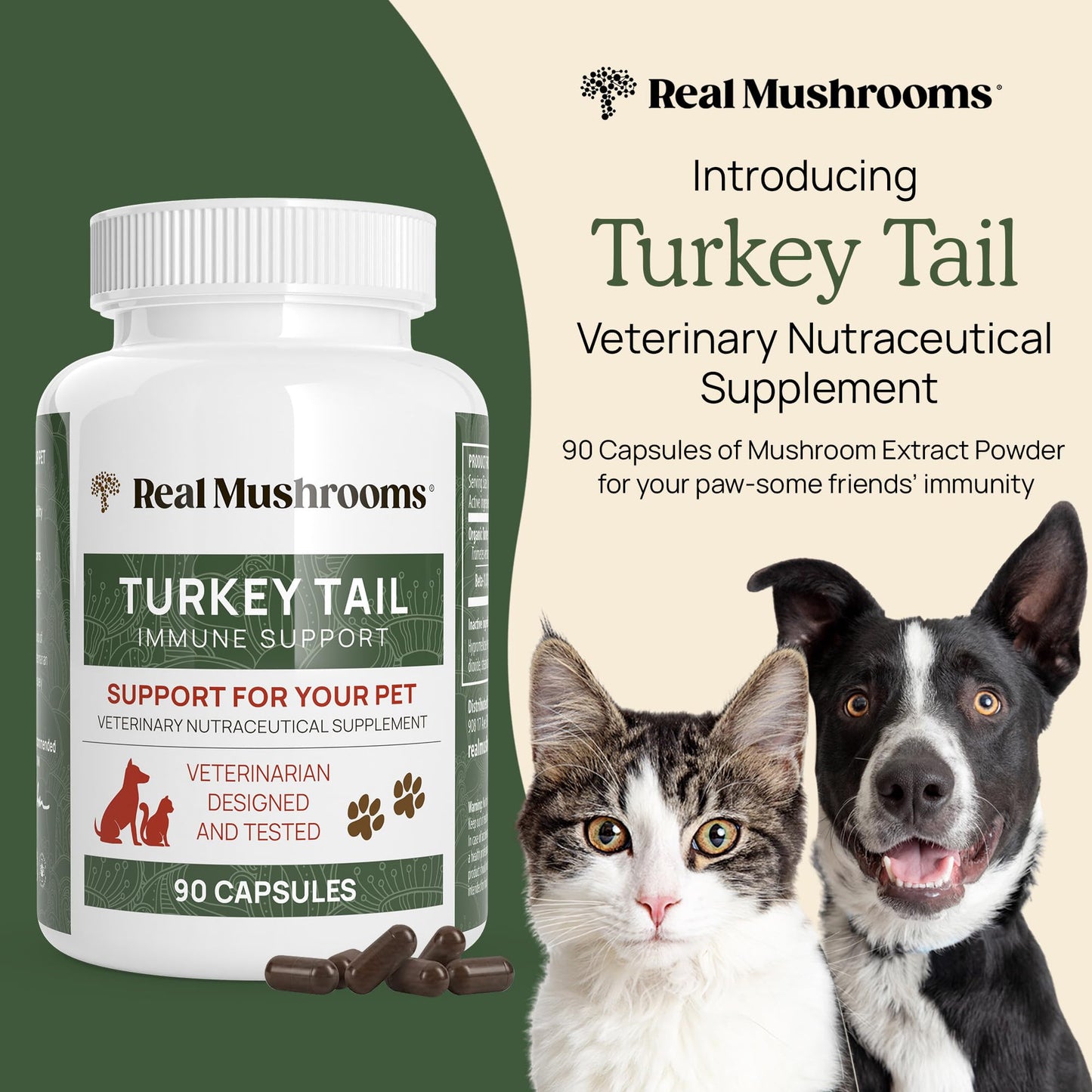 Real Mushrooms Turkey Tail Mushroom Extract Capsules