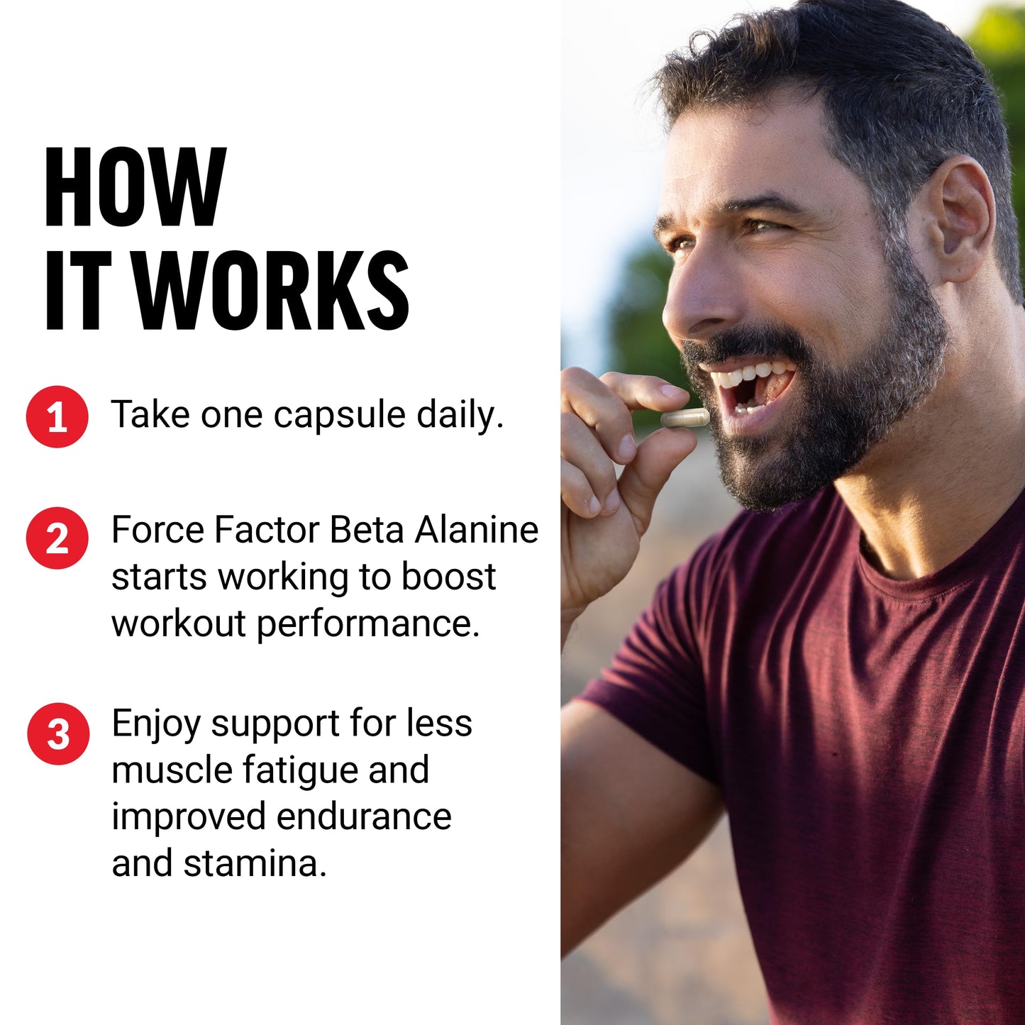 Force Factor Beta Alanine Capsules, 120 Count