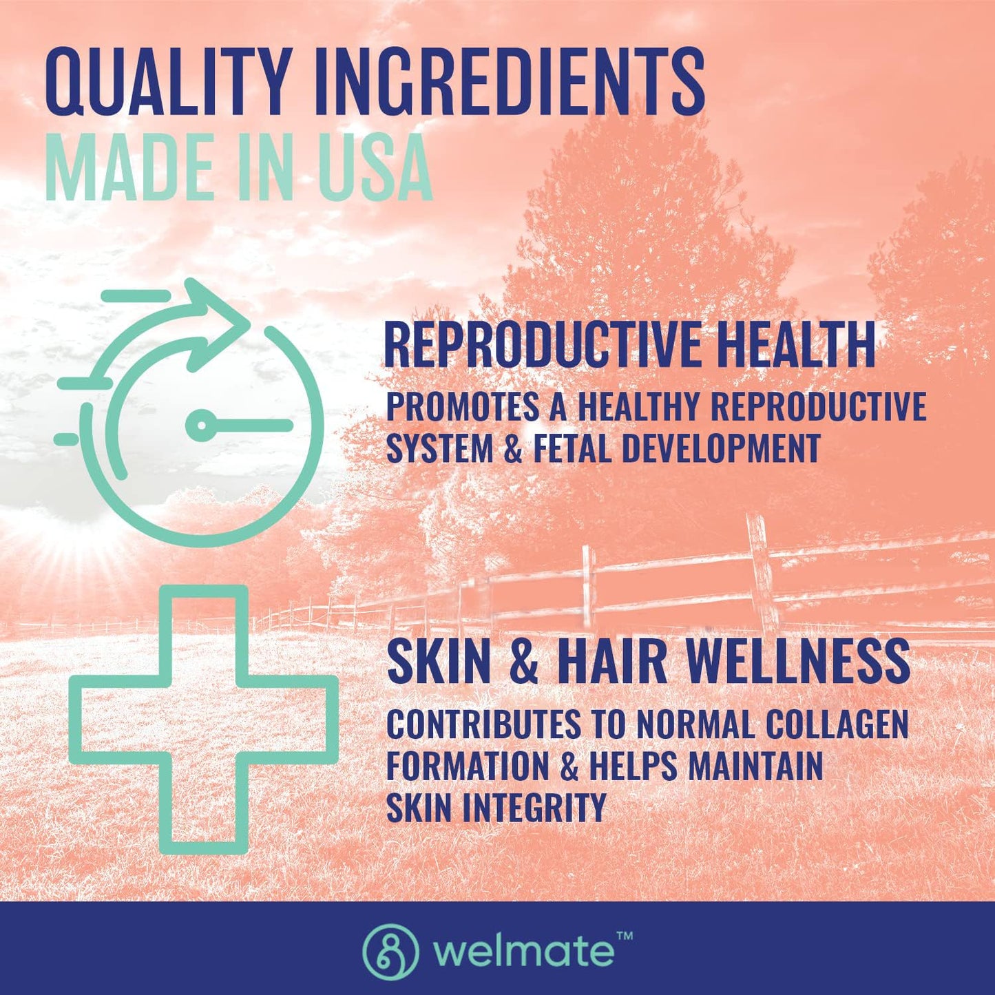 WELMATE Zinc Sulfate 220mg (50mg Elemental Zinc) High Potency Tablet, 200 Count
