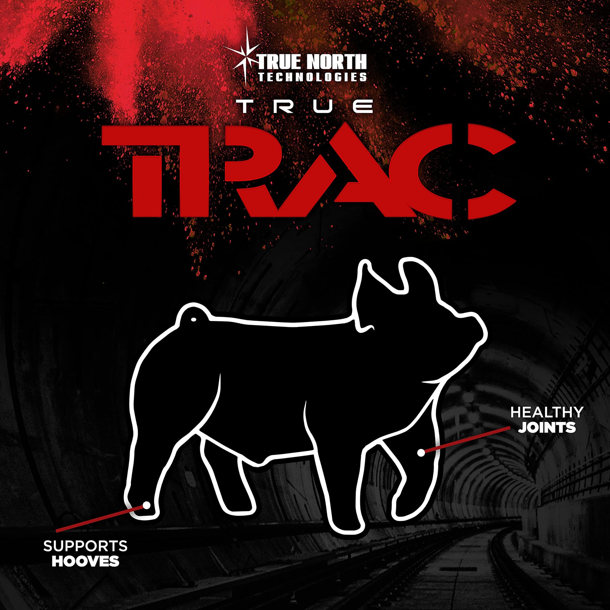 True North Technologies True Trac Powder