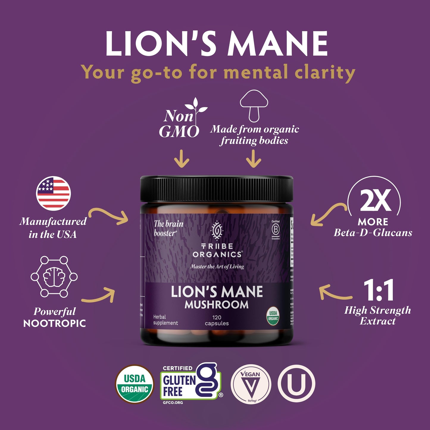 TRIBE ORGANICS Lion’s Mane Supplement 1000mg Mushroom Extract Powder, 120