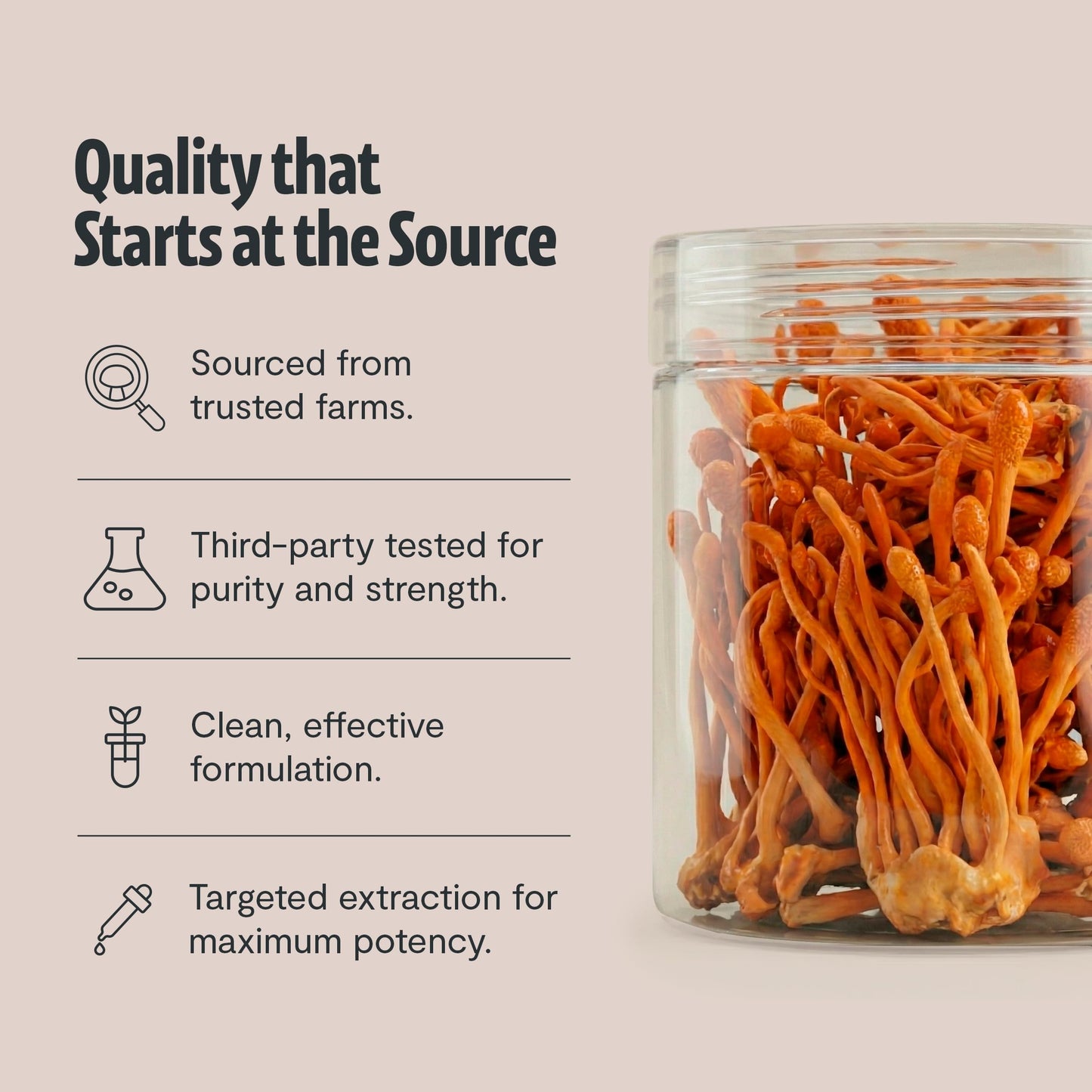 FreshCap Mushrooms Premium Organic Cordyceps Powder 60 Servings