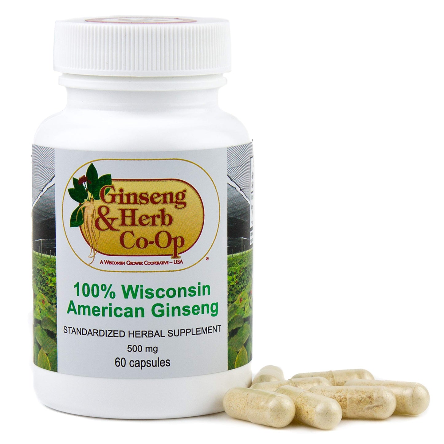 GINSENG & HERB CO-OP A WISCONSIN GROWER COOPERATIVE - USA Wisconsin American Ginseng Capsules, 60 Capsules