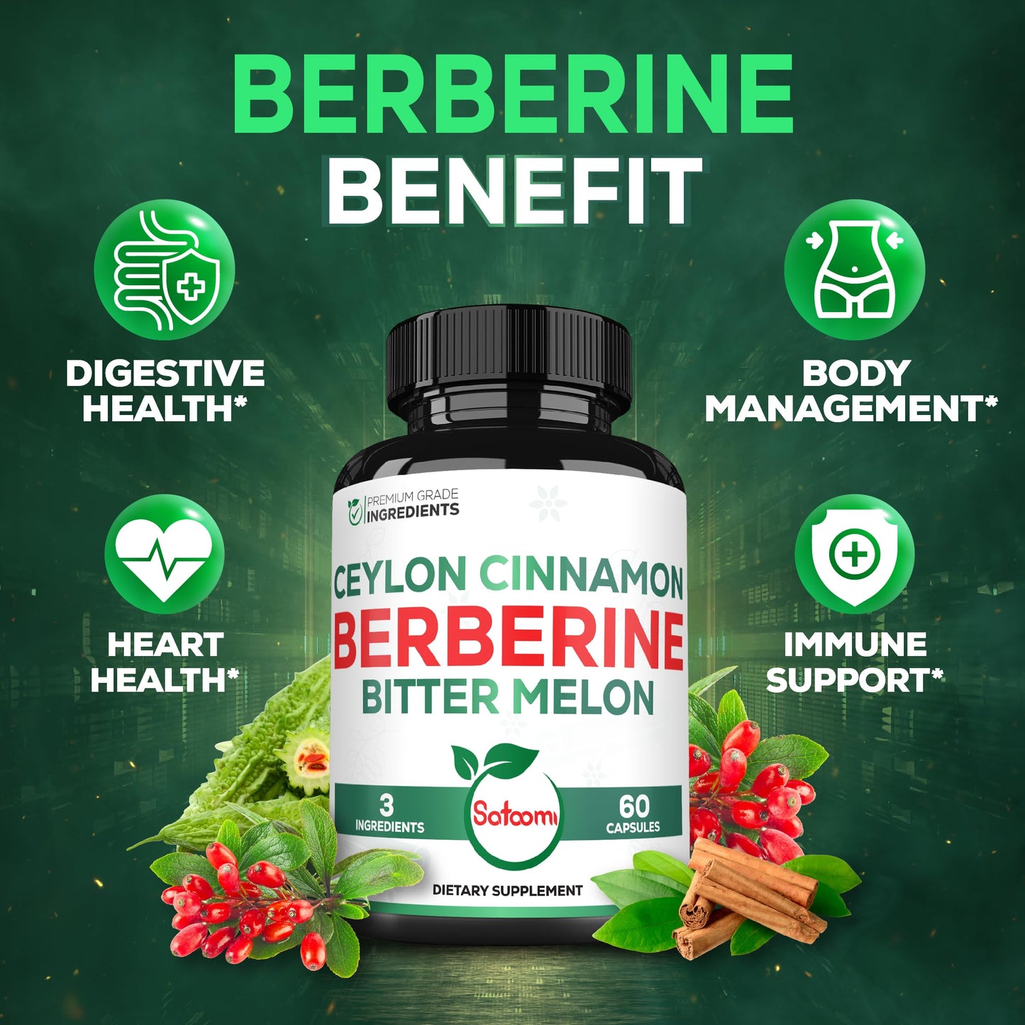 Satoomi Berberine Supplement with Organic Ceylon Cinnamon Bark & Bitter Melon - 3in1, 60 Vegan Capsules