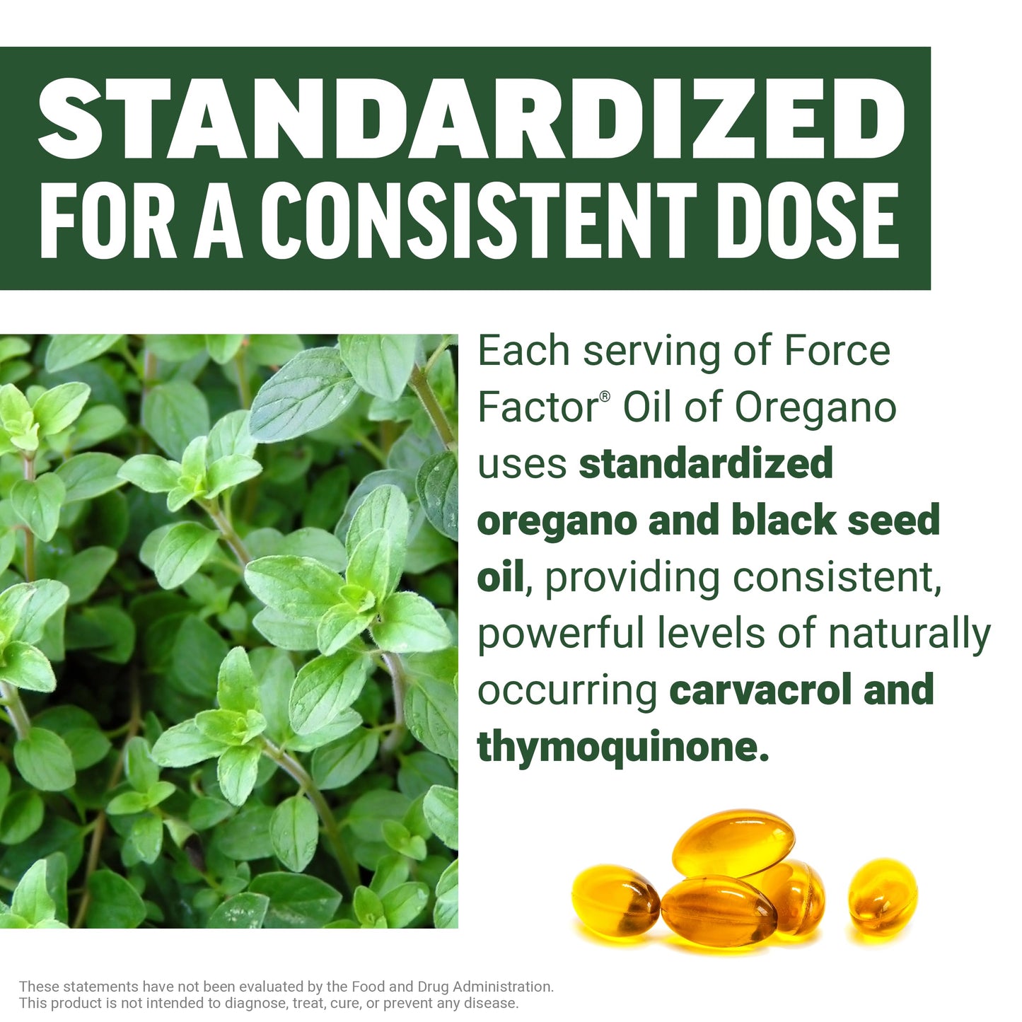 Force Factor Oil of Oregano with Black Seed Oil Softgels 60