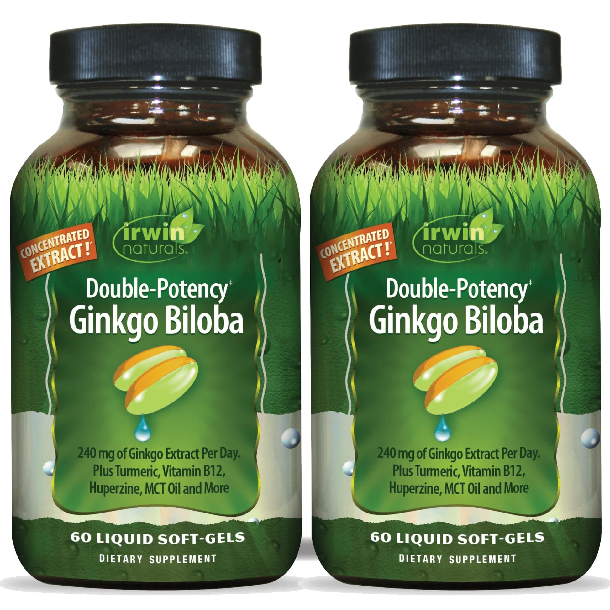 Irwin Naturals Ginkgo Biloba Extra Strength Double-Potency Softgel 120