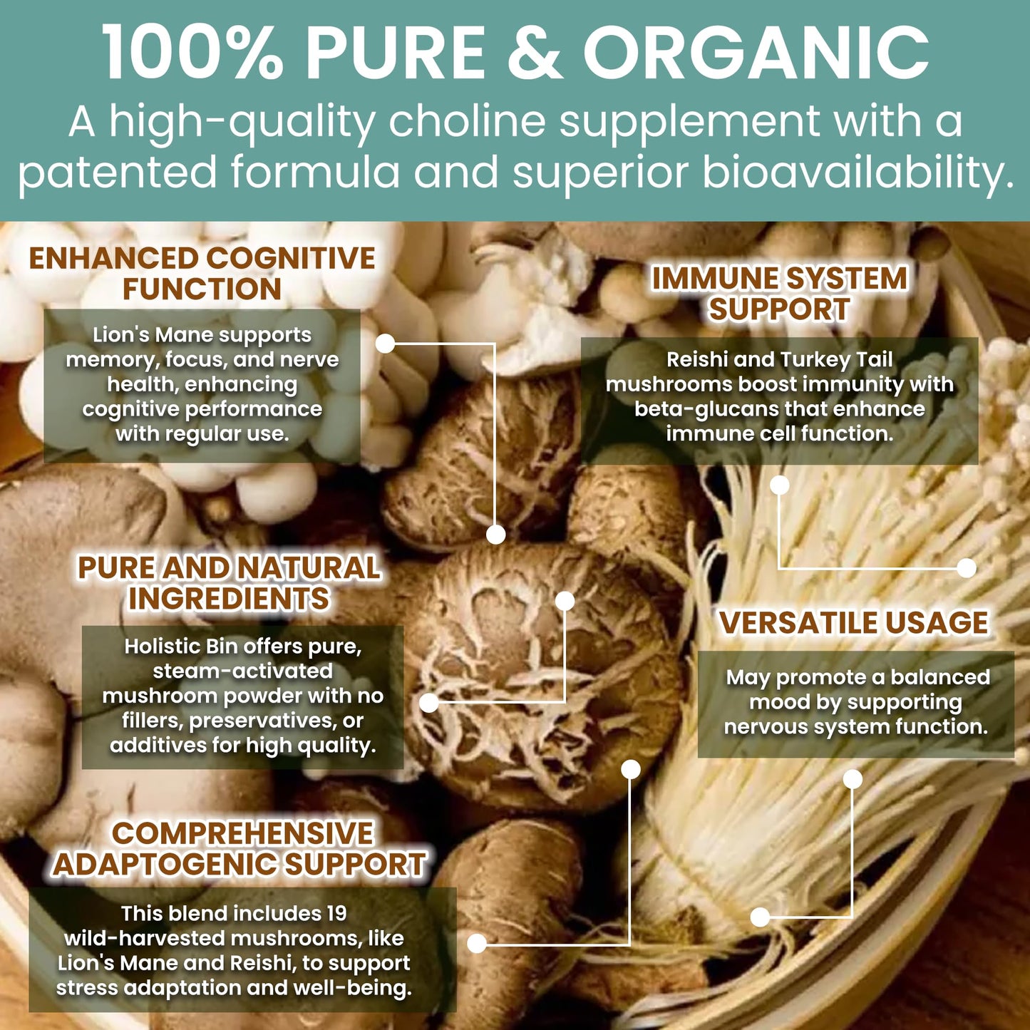 Holistic Bin Mushroom Blend Powder, 2.1 oz