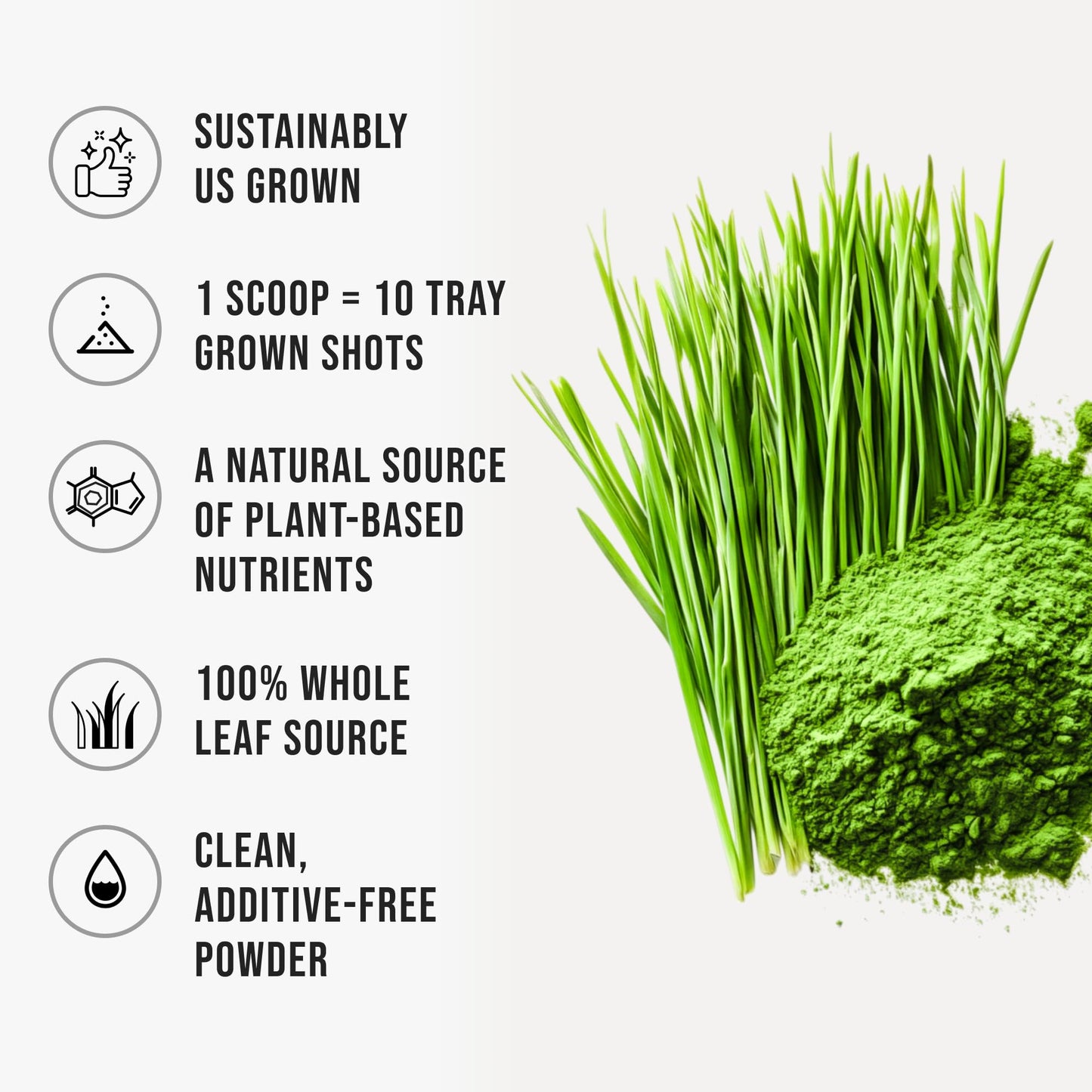 WHYZ Wheatgrass Powder 18