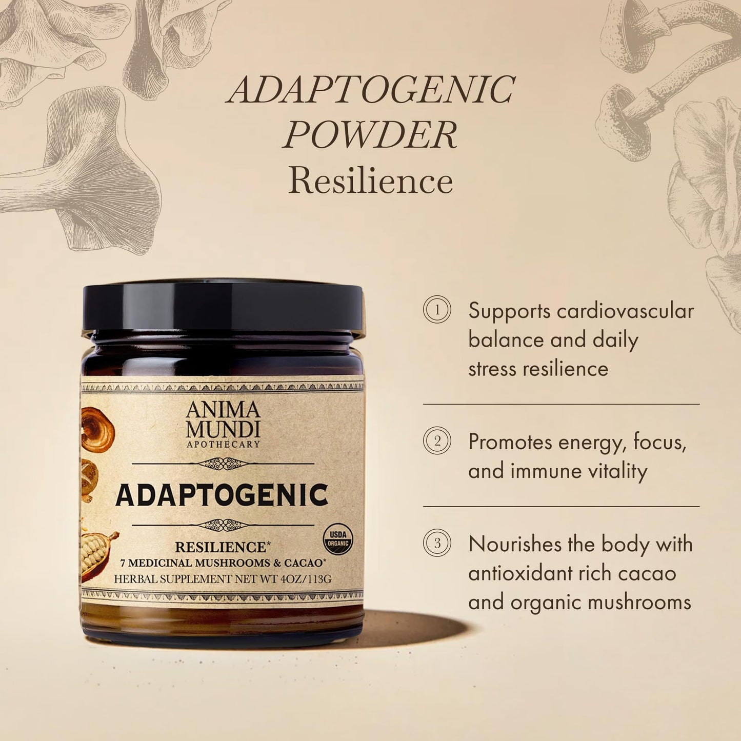 Anima Mundi Apothecary Organic Mushroom Supplement Powder - Adaptogenic Mushrooms + Cacao - Uplifting Blend with Organic Lion's Mane, Shiitake, Chaga & More - 4 oz