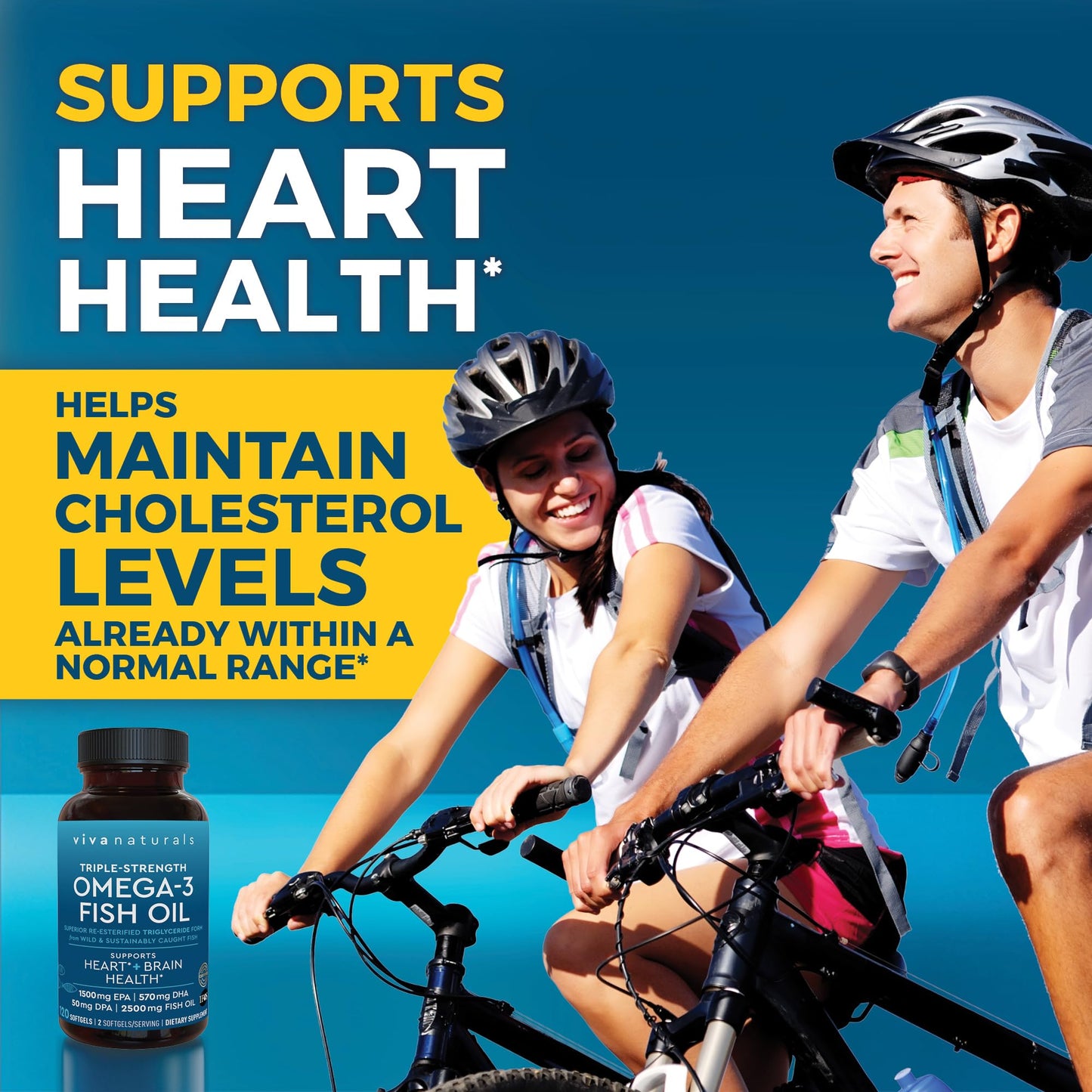 Viva Naturals Omega 3 Fish Oil Supplement Softgels, 120 Count
