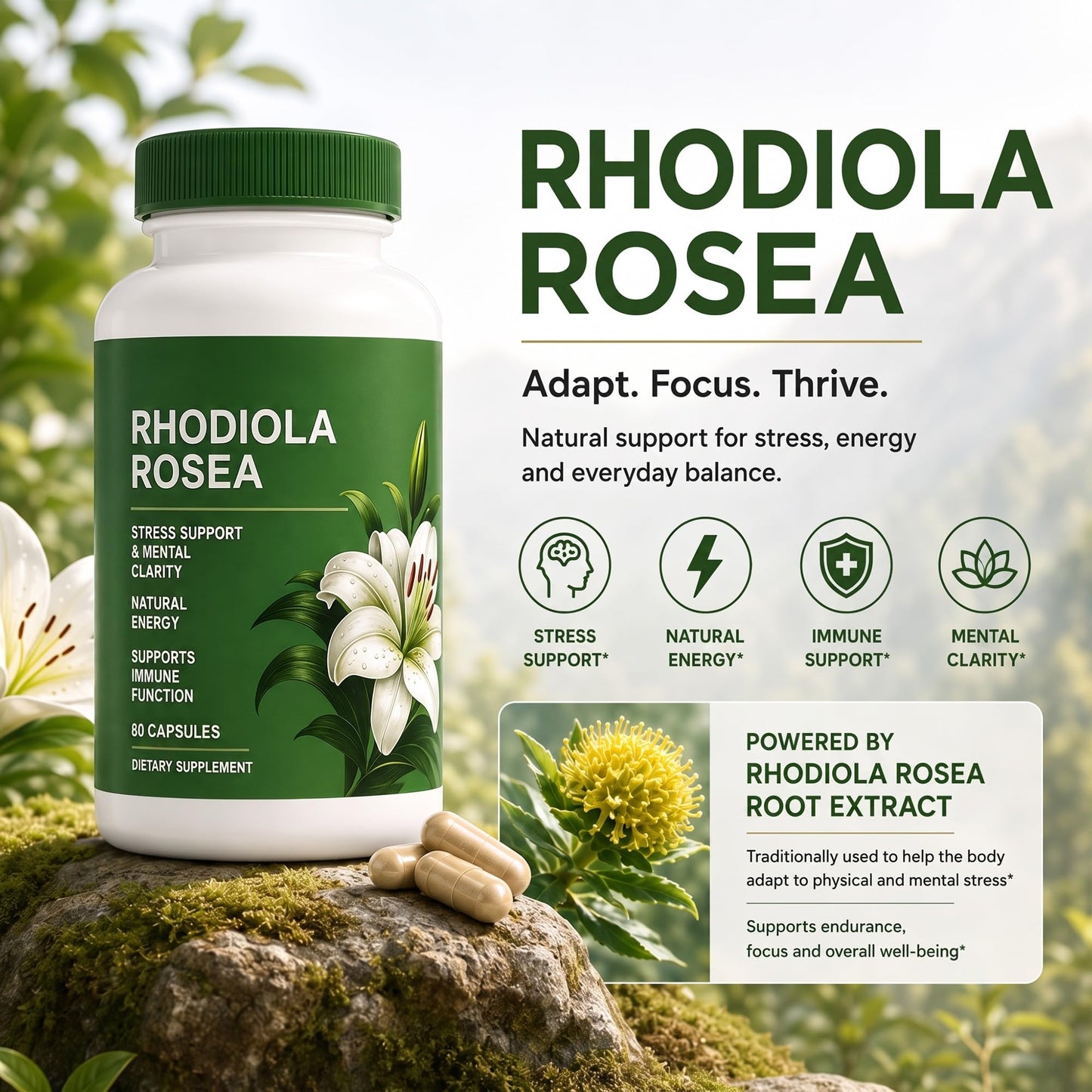 Shileoo Rhodiola Rosea 60 Capsules