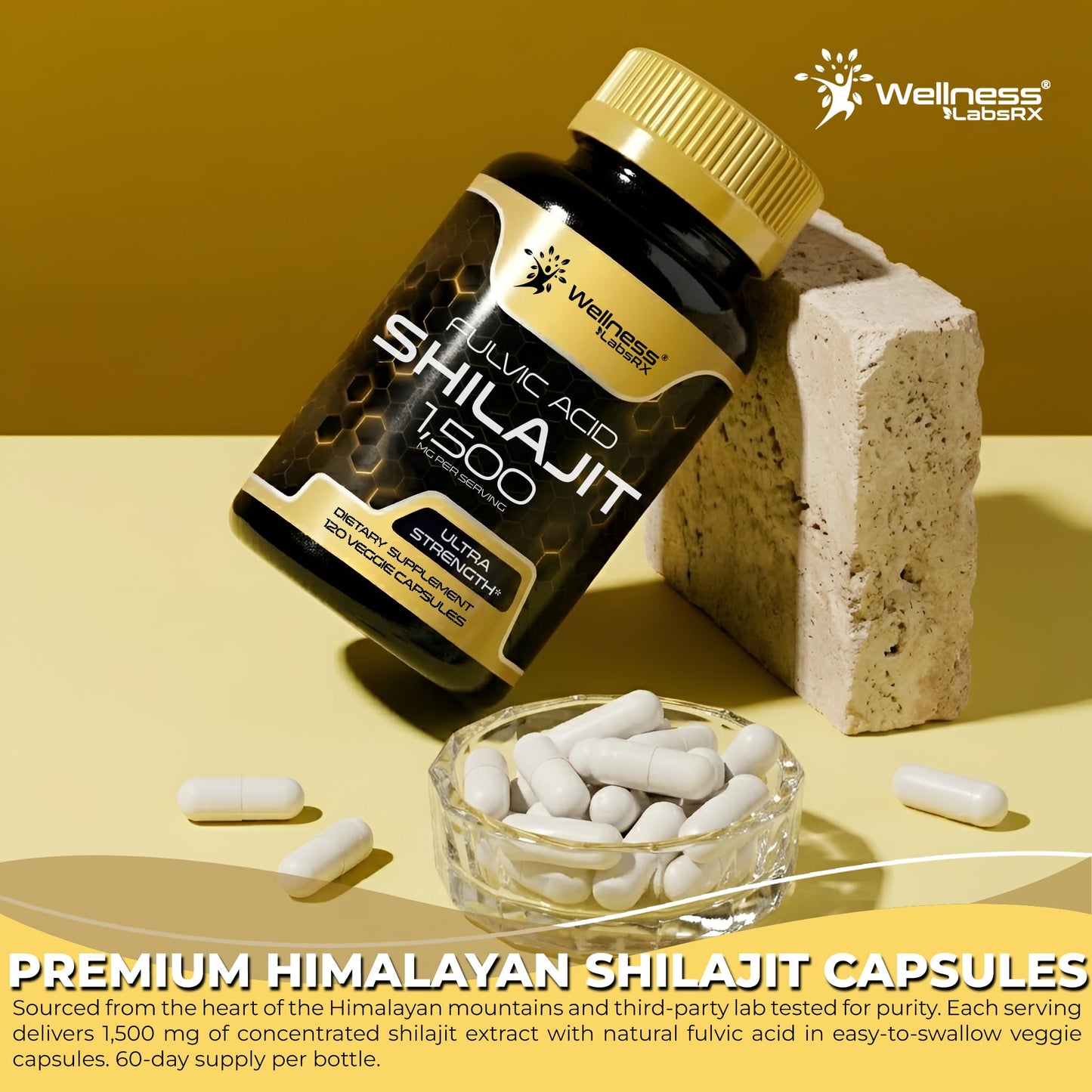 WELLNESS LABSRX Himalayan Shilajit Capsules, 240 Capsules