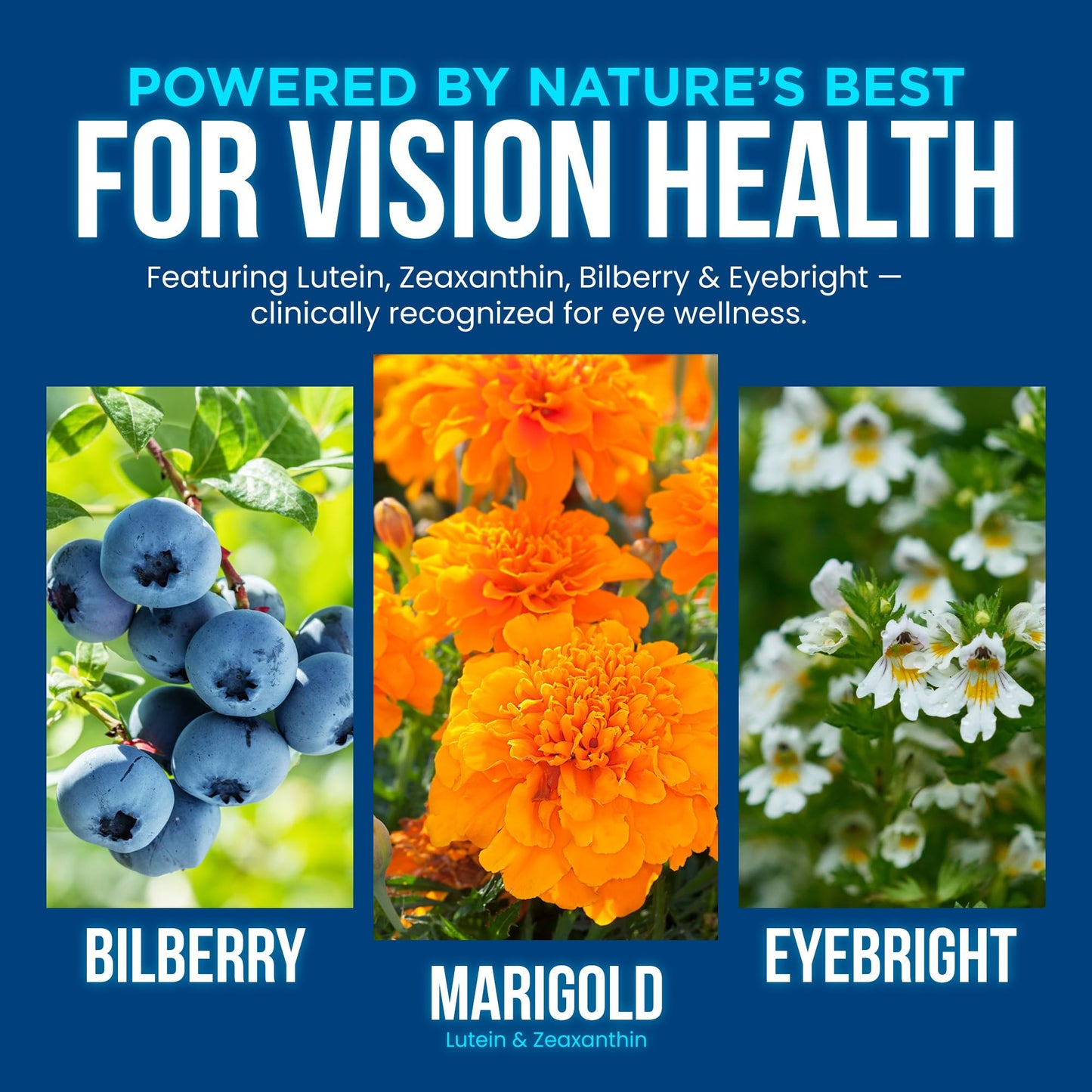 OmniBiotics Vision Clarity Eye Vitamin and Mineral Supplement - 60 Capsules
