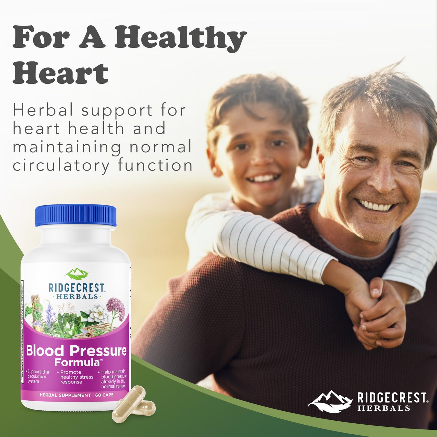 RidgeCrest Herbals Blood Pressure Herbal Formula, 12 Herbs, Poria Mushroom, Gastrodia, Gardenia, for Heart, Vascular, Circulation Health Capsule, 60 Count