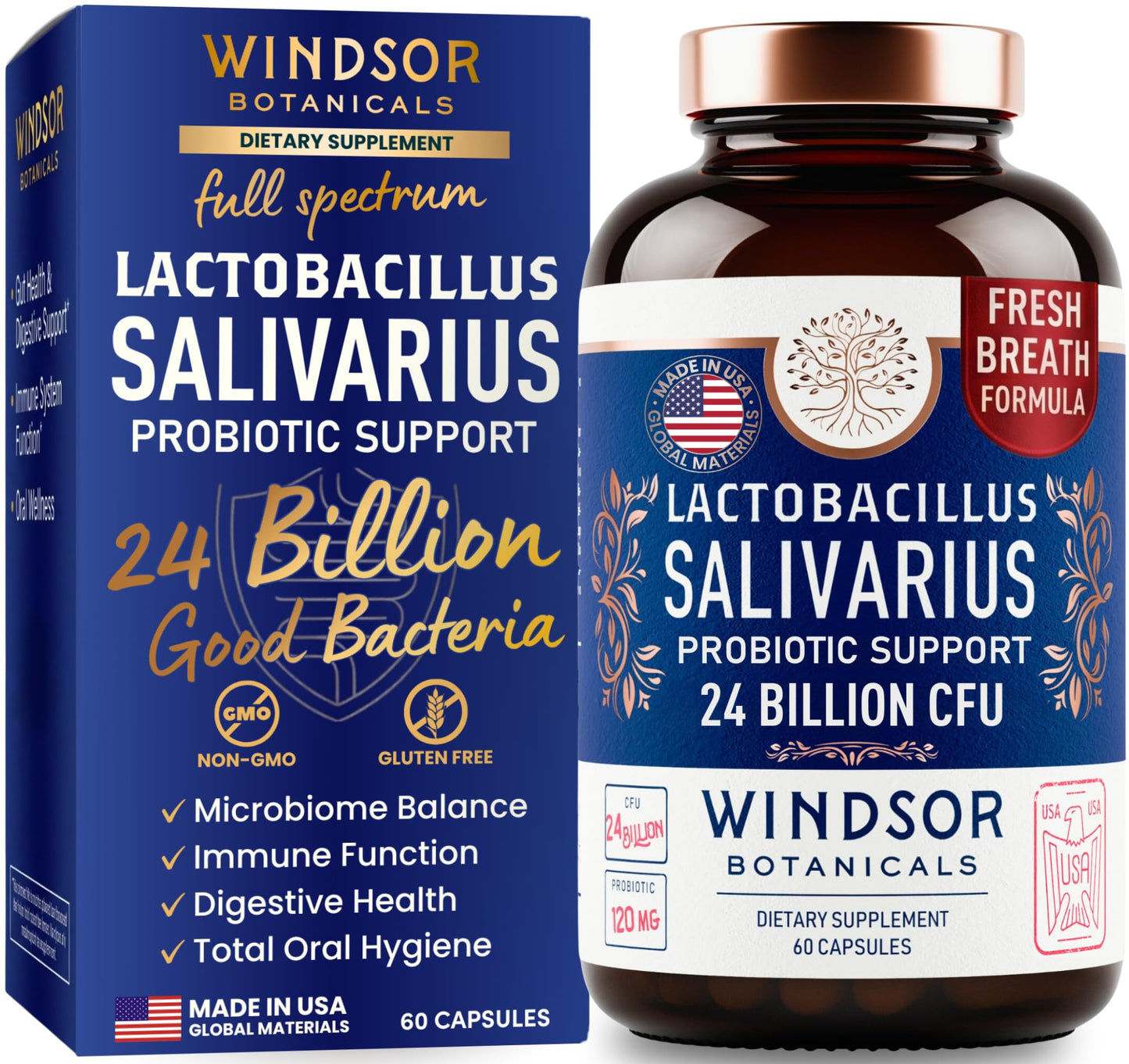 WINDSOR BOTANICALS Lactobacillus Salivarius Probiotic Capsule 24bn CFU, 60 Count