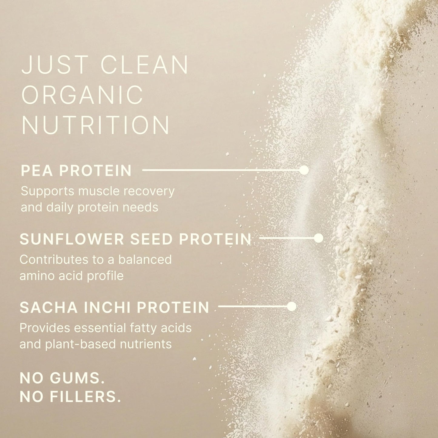 Dr. Murray Natural Products Organic Plant Based Protein Powder Matcha 1 lb, 16 Servings