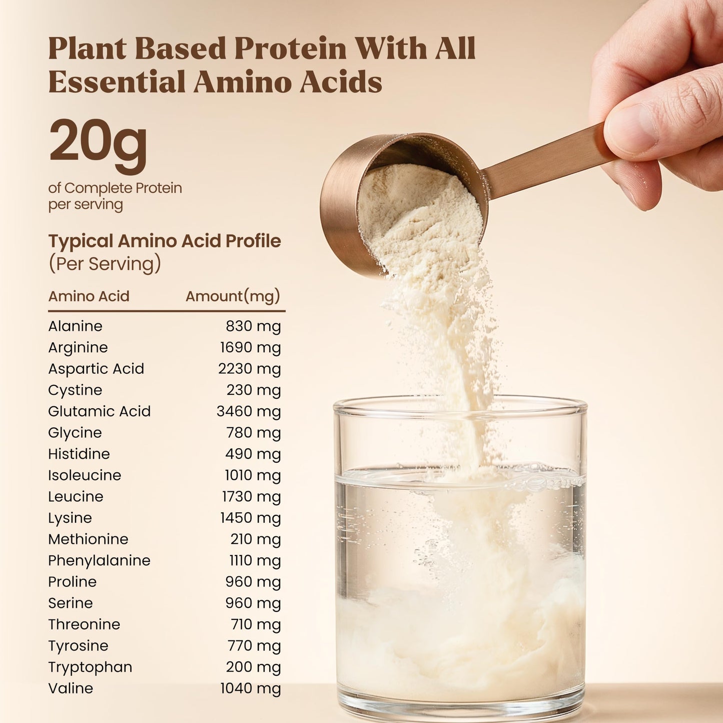 Elements Truffles Vanilla Plant Protein Powder (20g Protein), 1.25 Pound