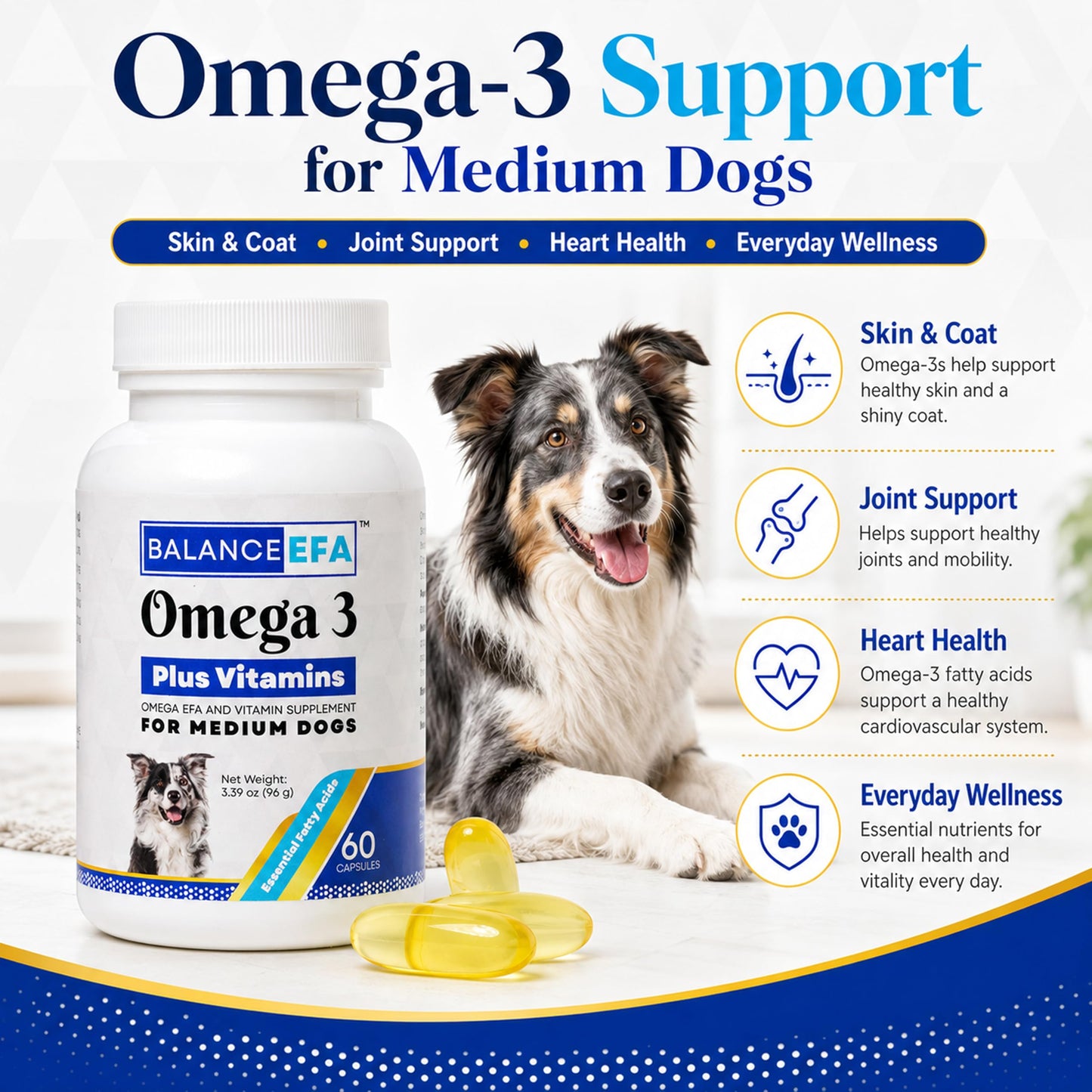 Mizner Bioscience BalanceEFA Omega 3 Fish Oil for Dogs, Skin & Coat Capsules, 60 Ct