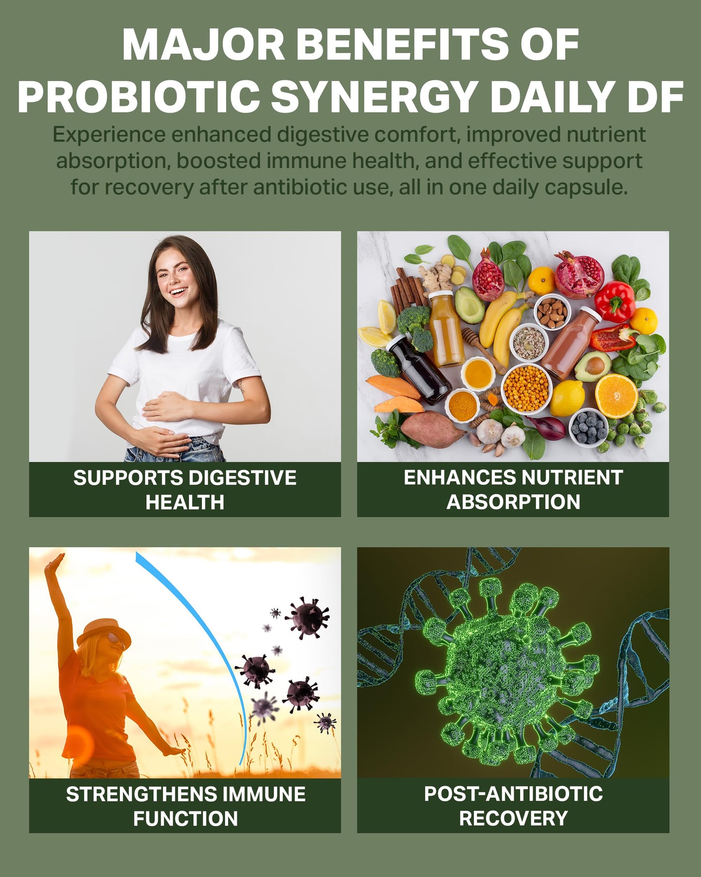 HormoneSynergy Probiotic Synergy Daily Df Capsule, 60 Count