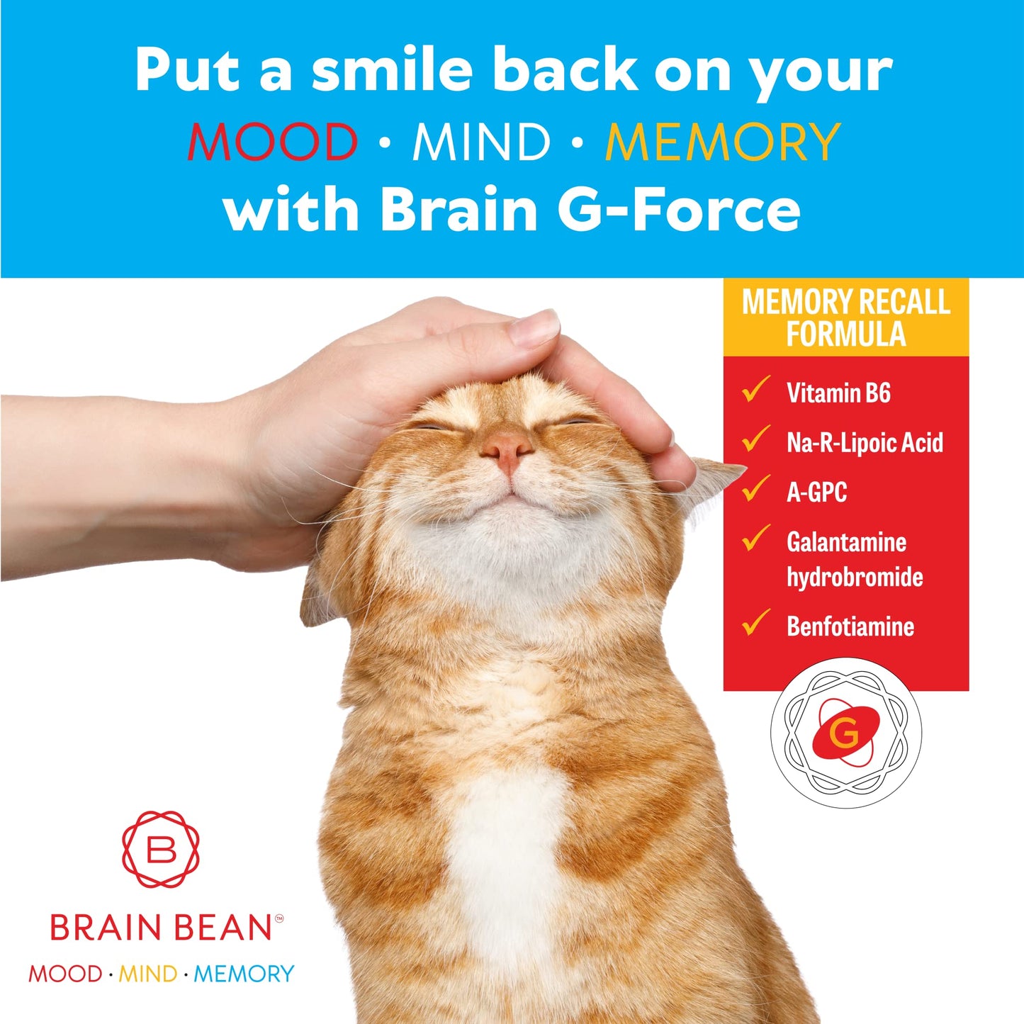 Brain Bean Brain G-Force Capsule 90 Count