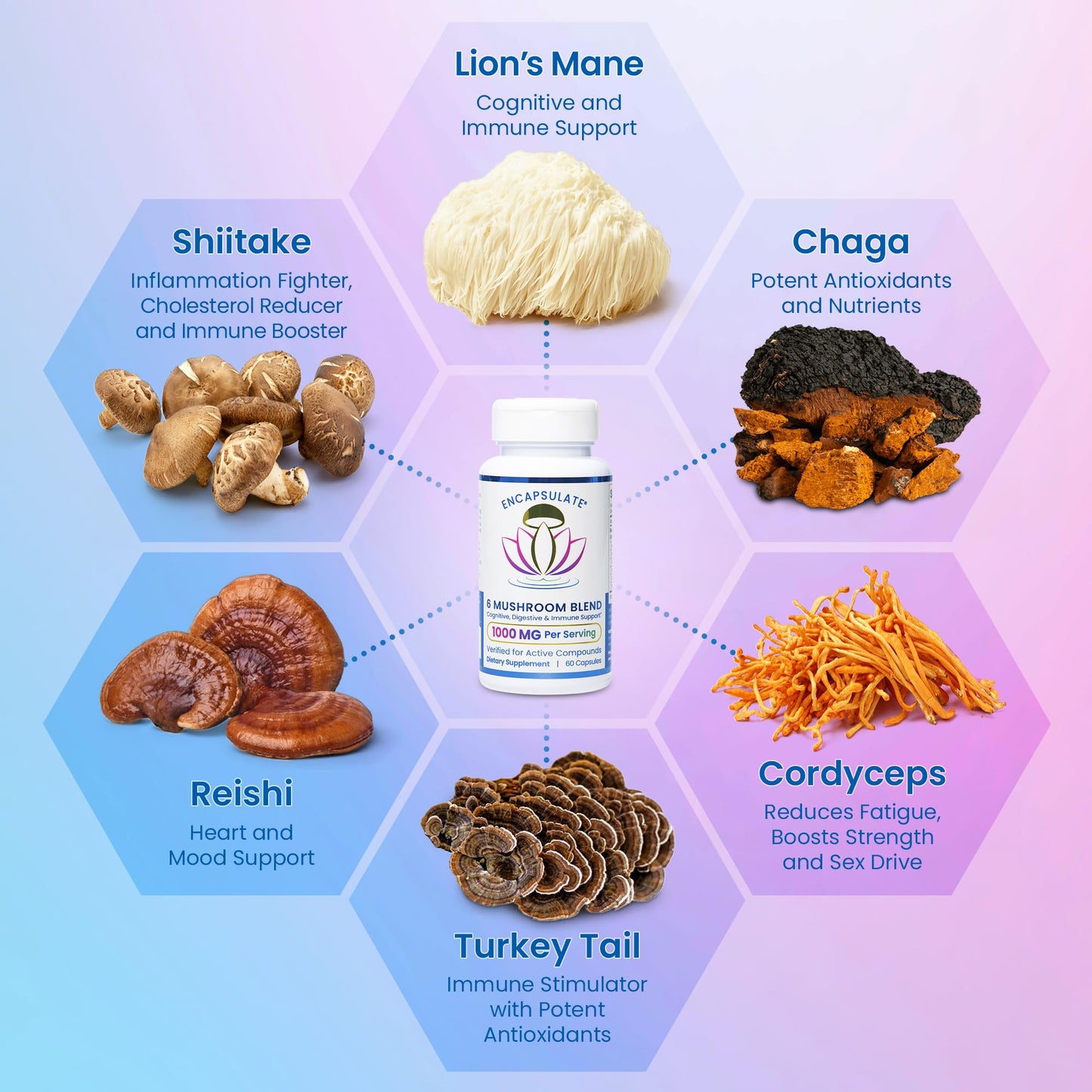 ENCAPSULATE 6 Mushroom Blend 1000mg – Reishi, Chaga, Turkey Tail, Cordyceps, Lion’s Mane & Shiitake 1:1 Mushroom Extract – Adaptogen Mushroom Supplement for Gut, Brain & Immune Support, 60 Capsules