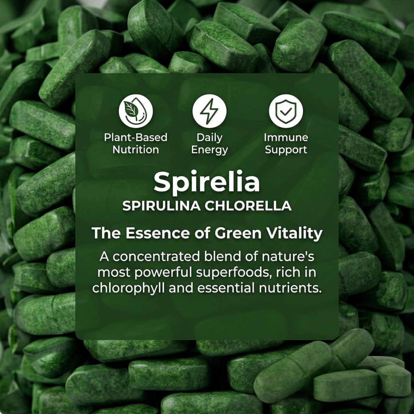 Bruiseweed Spirelia Spirulina & Chlorella Tablets, 60 Tablets