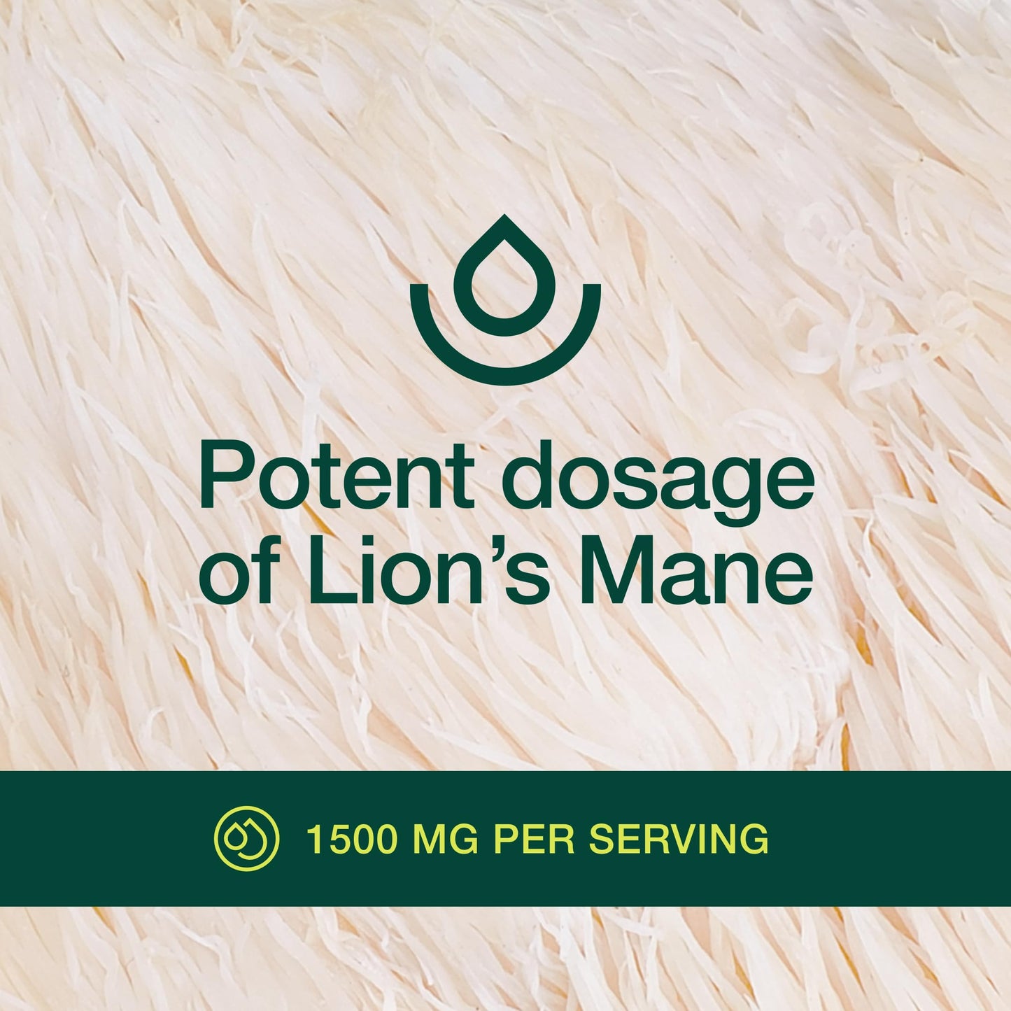 Fresh Nutrition Lion's Mane Mushroom Capsules, 90 Capsules