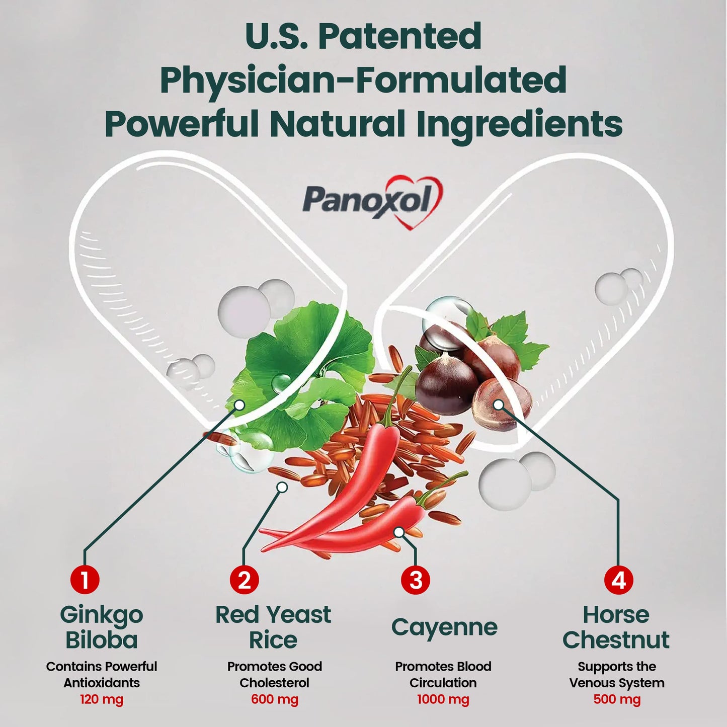 Panoxol Blood Pressure Supplements Nitric Oxide Capsules 360