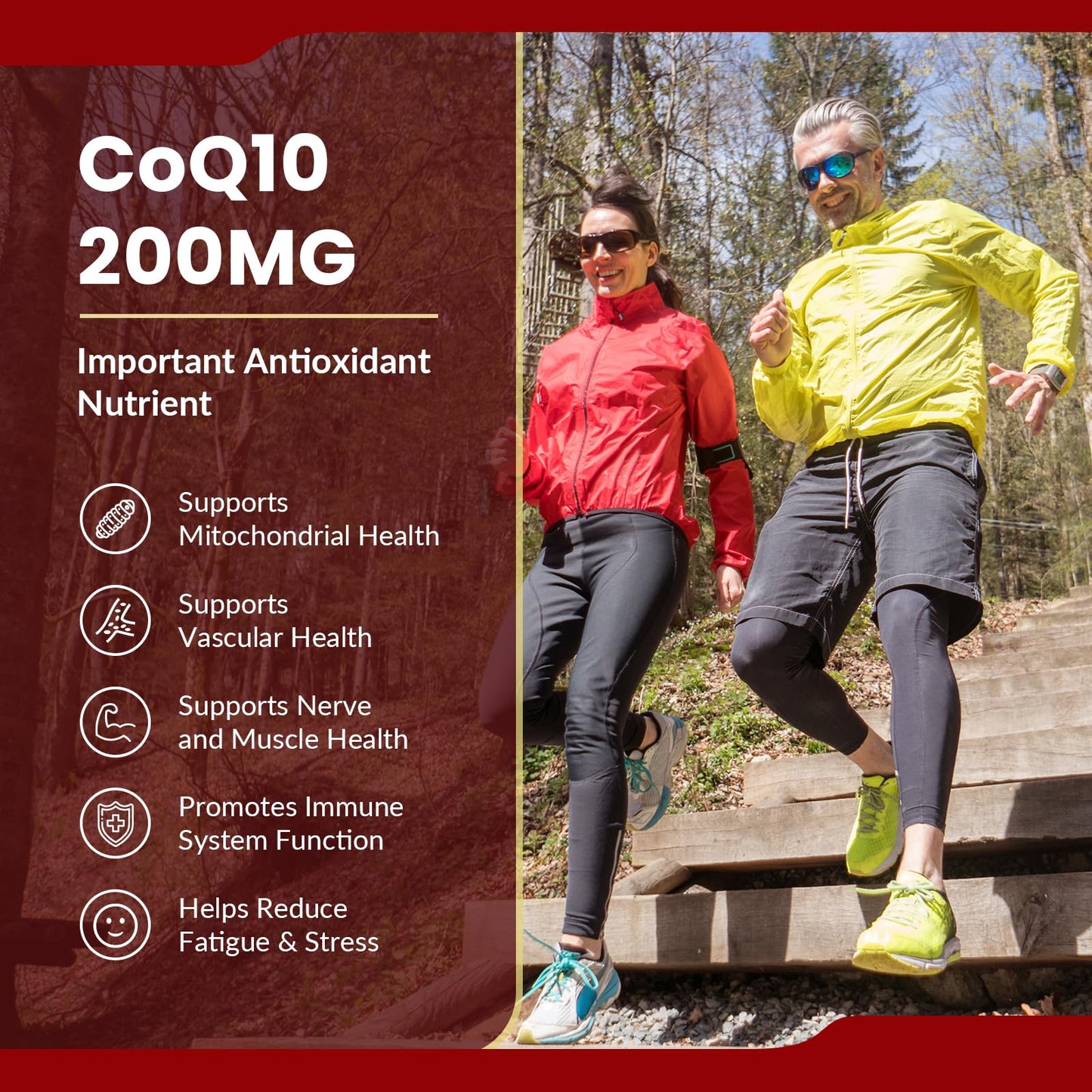 Anisx Coenzyme Q10 200mg 90 Softgels